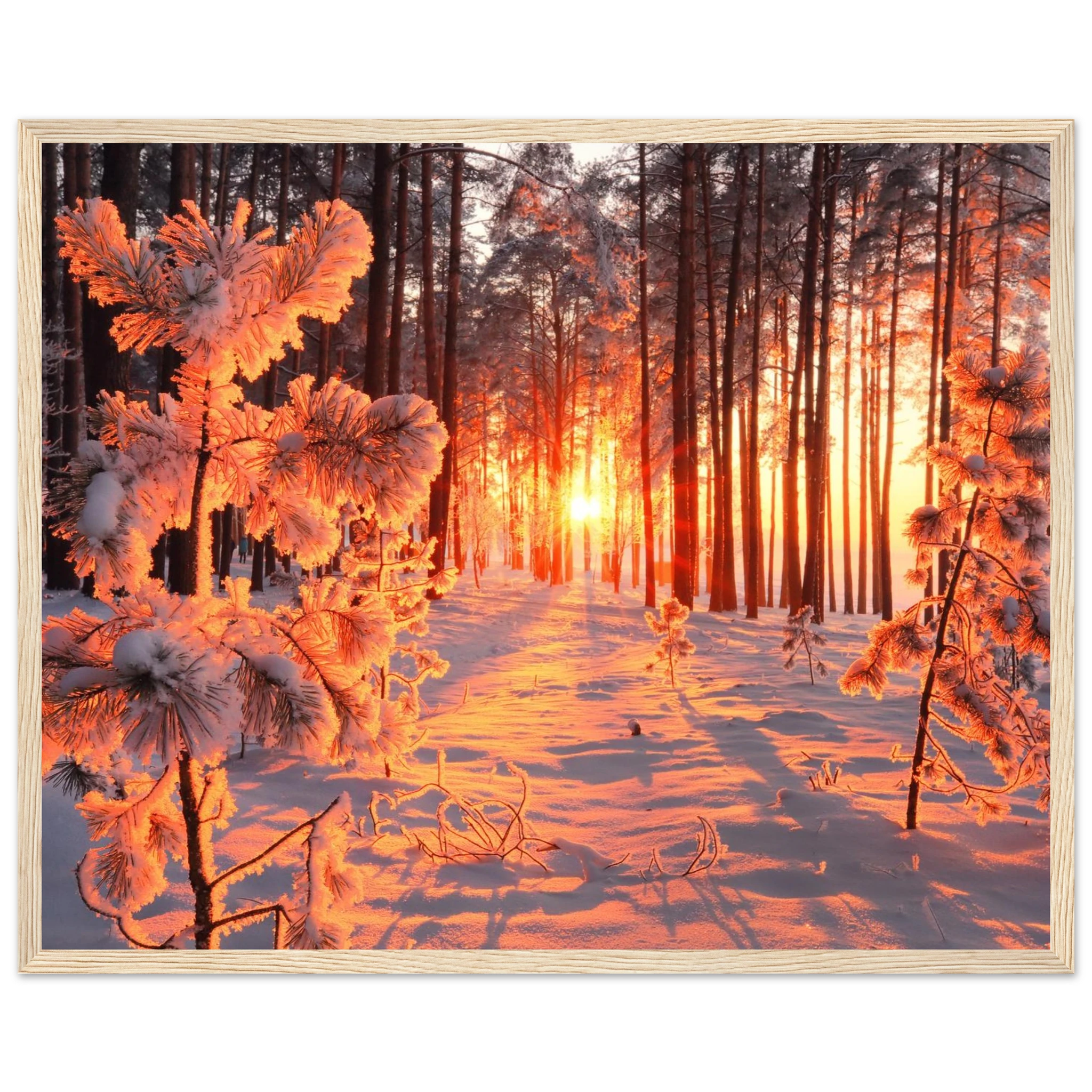 6f01b805-7b5f-4301-8113-4ca2c65c14f3