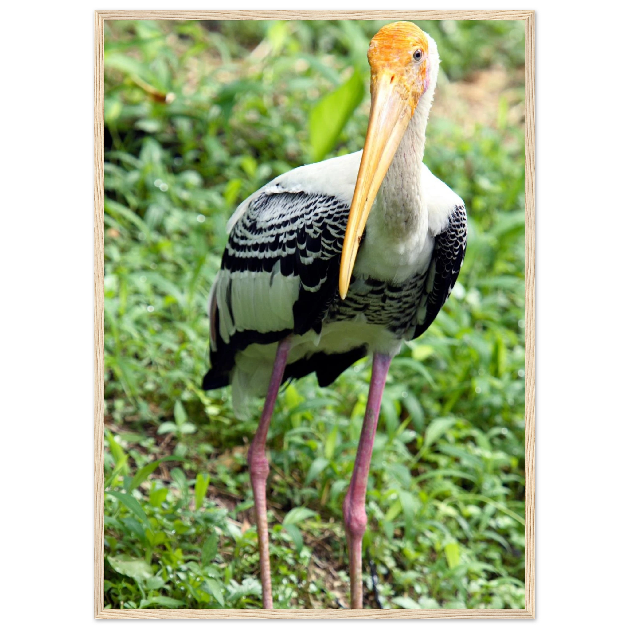 6f09bffc-473c-4875-b58f-d57bc842e3e3