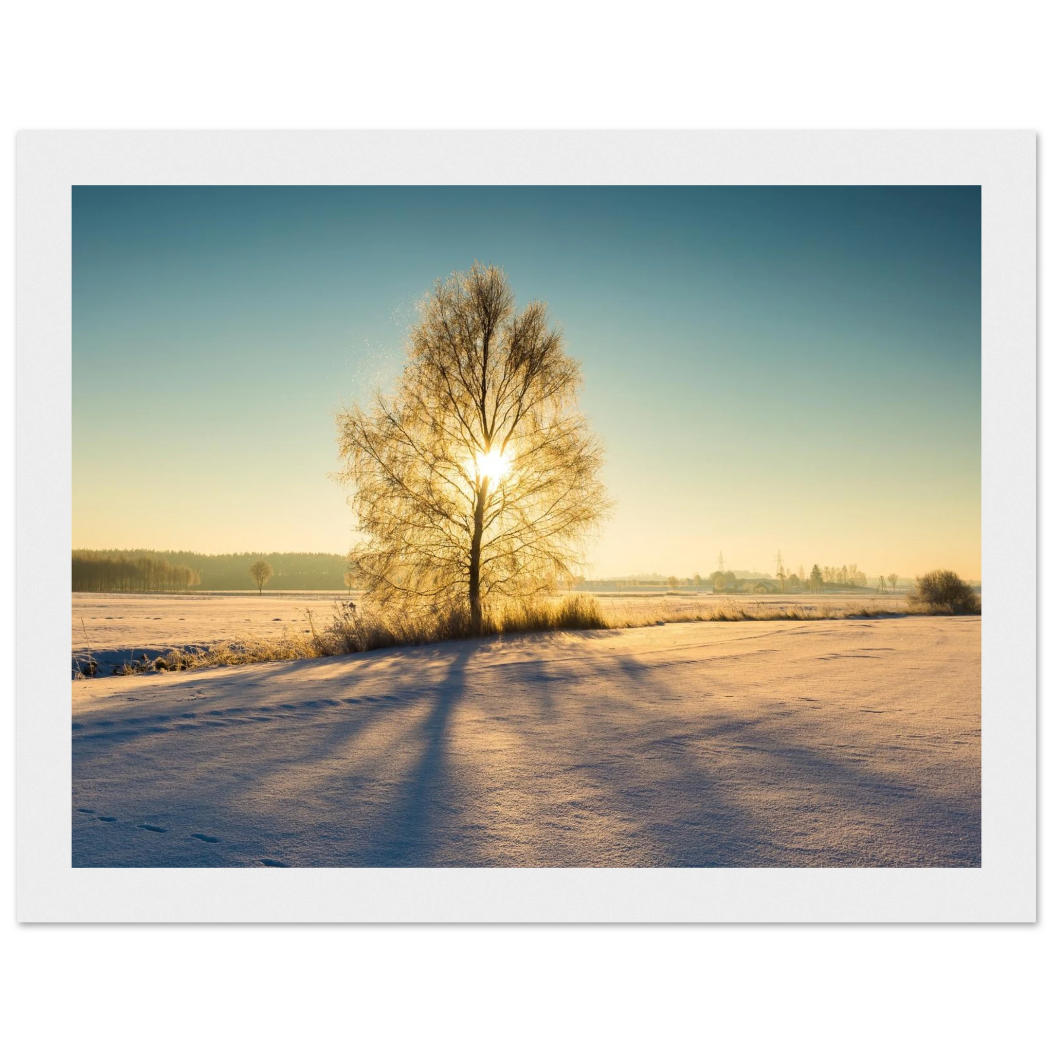 6f1c98b8-35ff-4a55-a982-7c68d04bcfdc