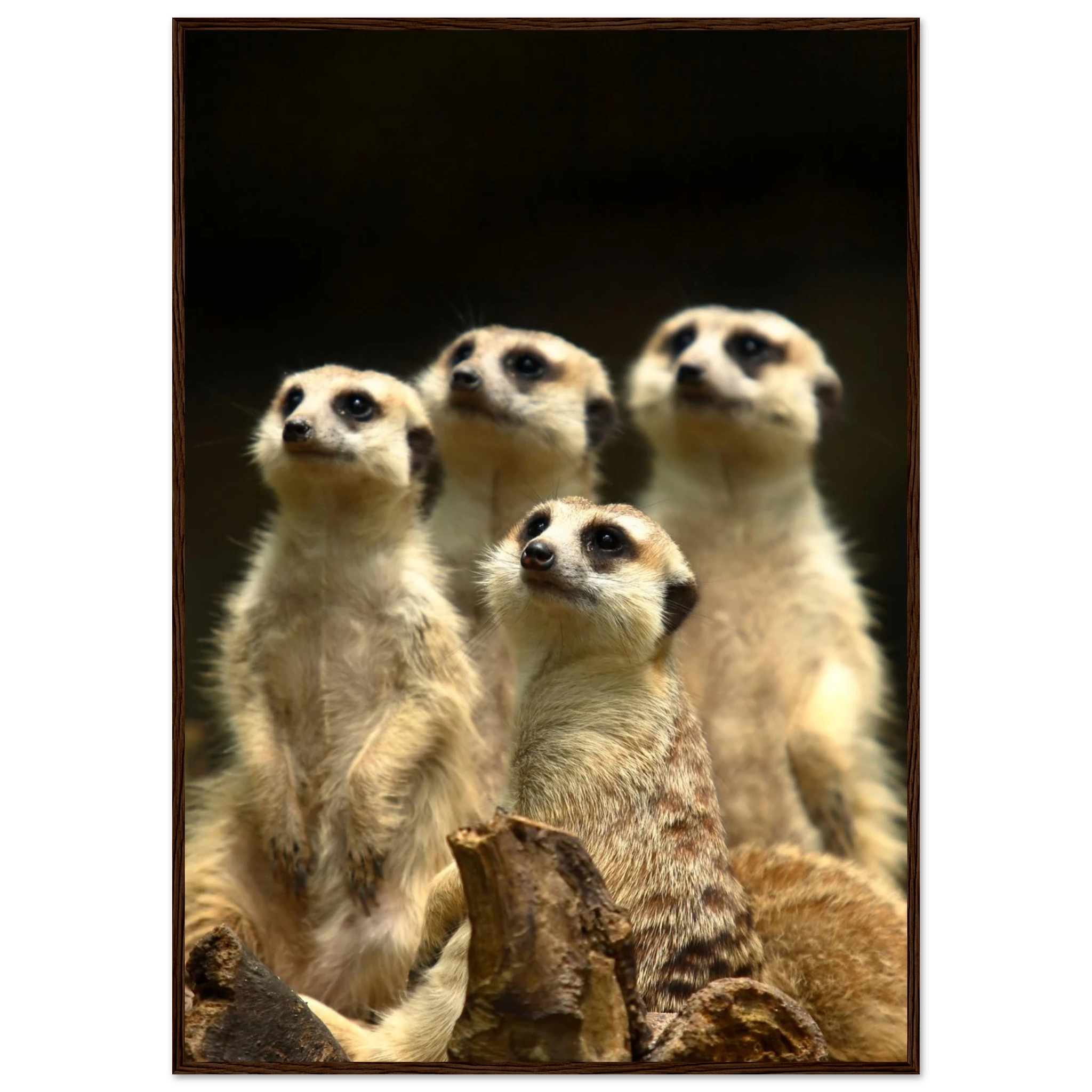 6f2d3fcf-fa94-4888-88df-c5d284adb22f