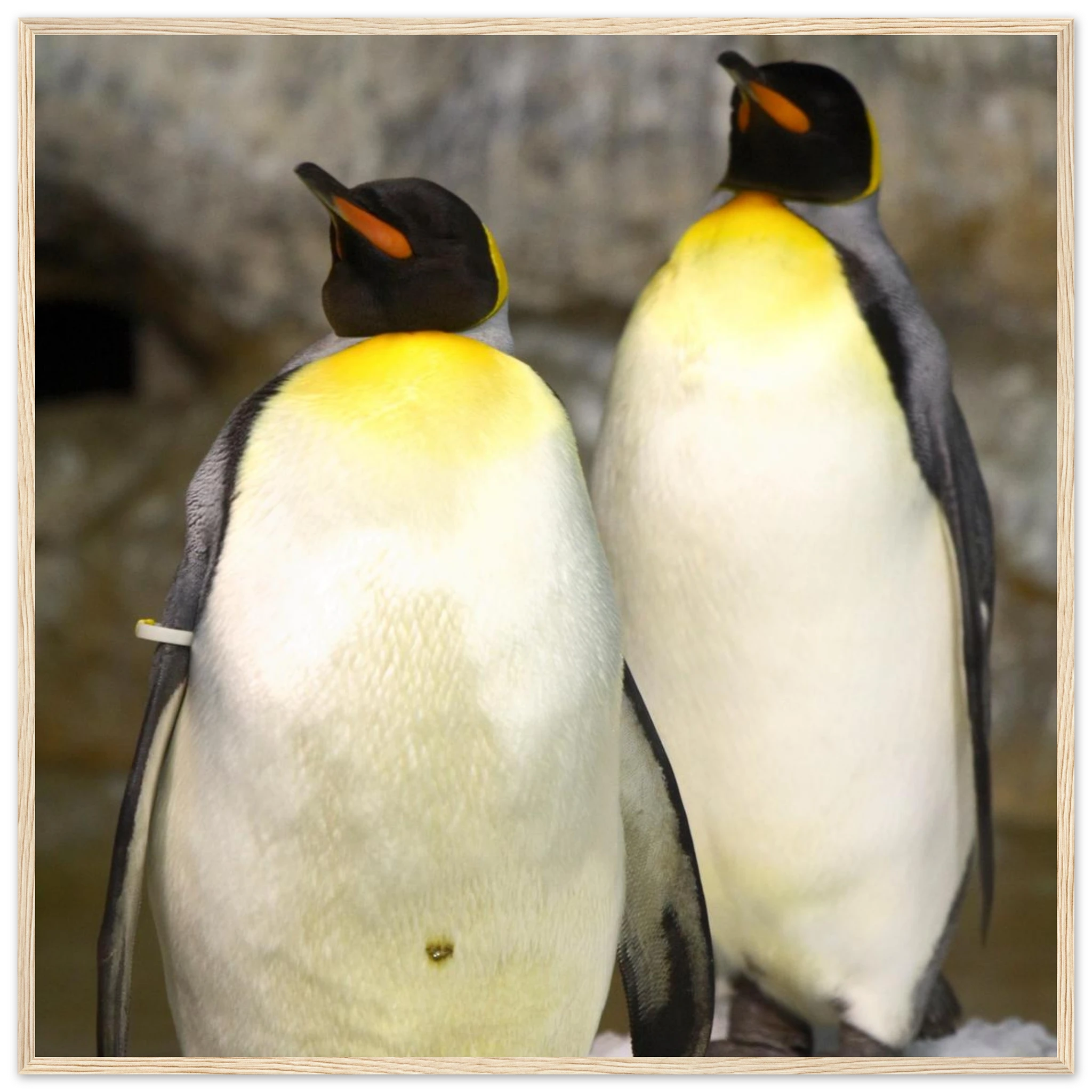 6f54b9f5-5ef9-4a36-877f-916e04a00c0e