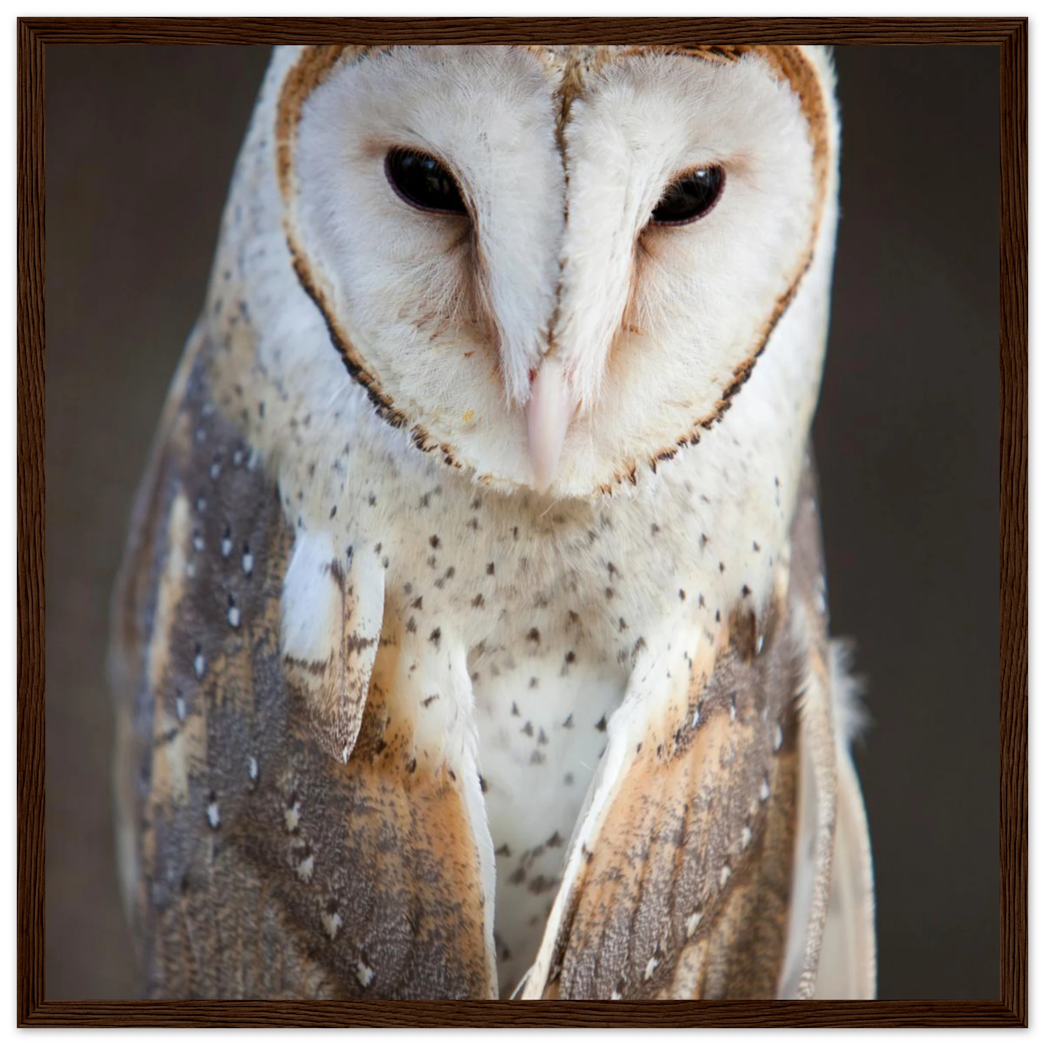 6f5678f6-bb38-486a-831a-db989b53dc4c