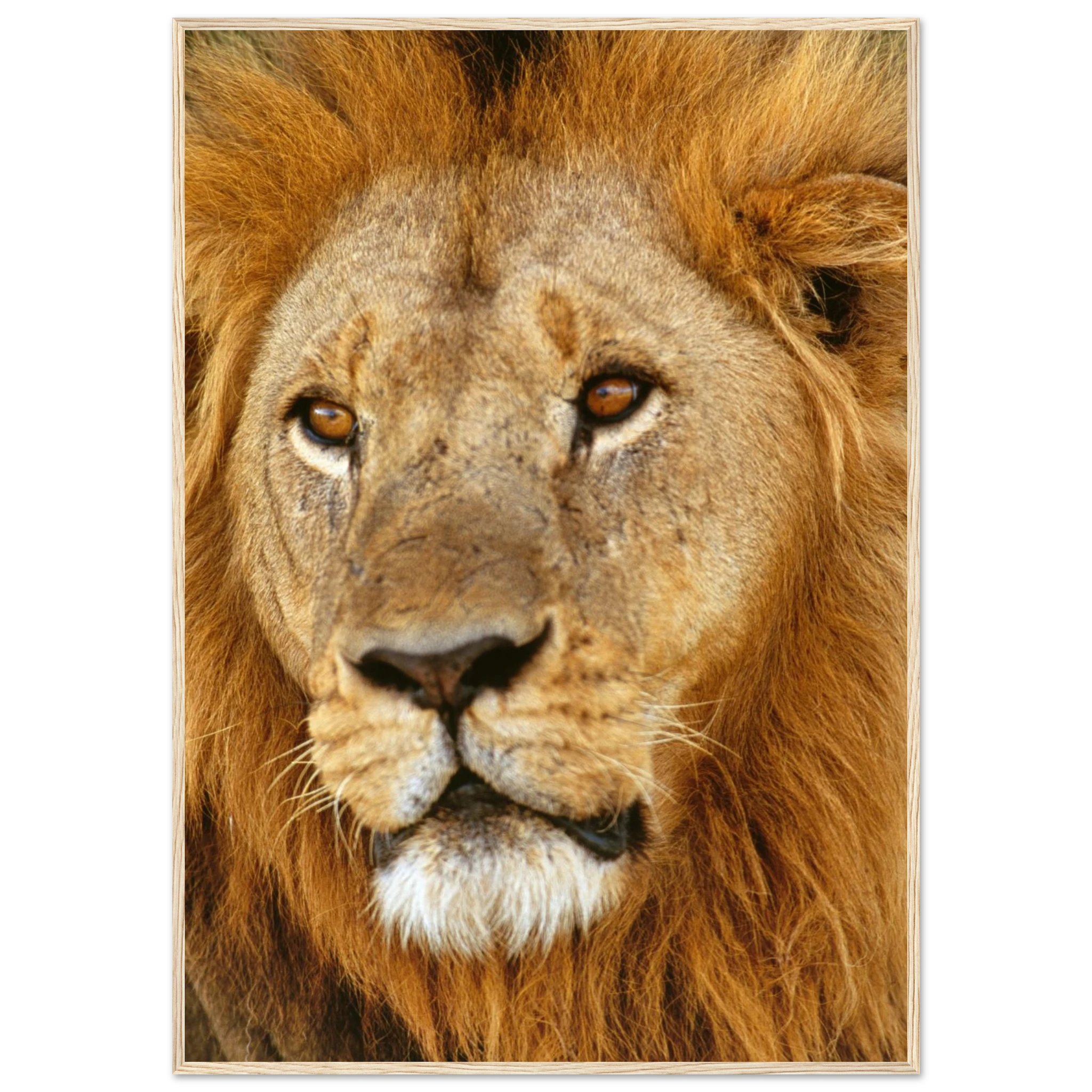 6f607cca-94af-4bab-b01b-78eafeeb6f8c