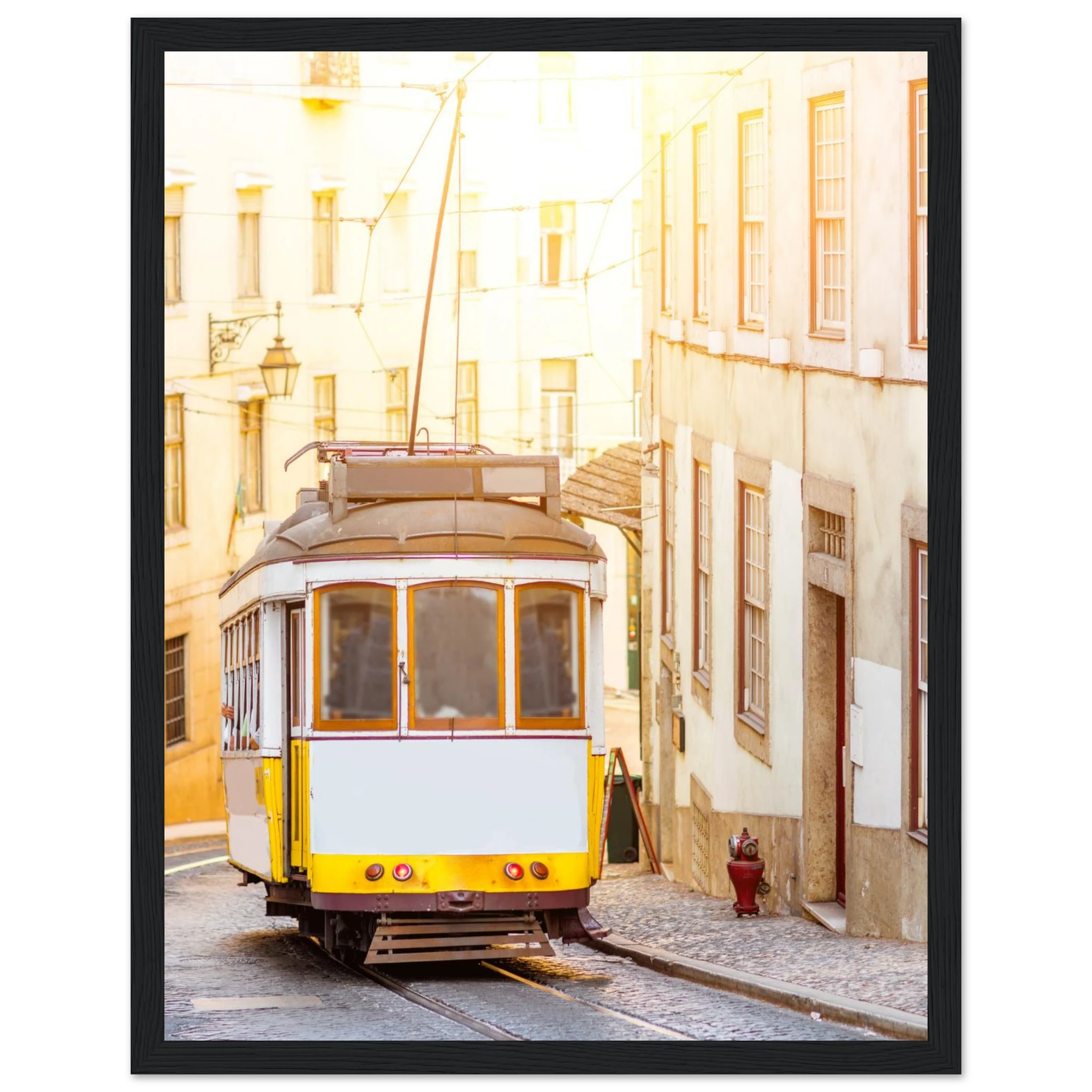 6f65936b-37a0-47cb-ab76-2556b8738deb