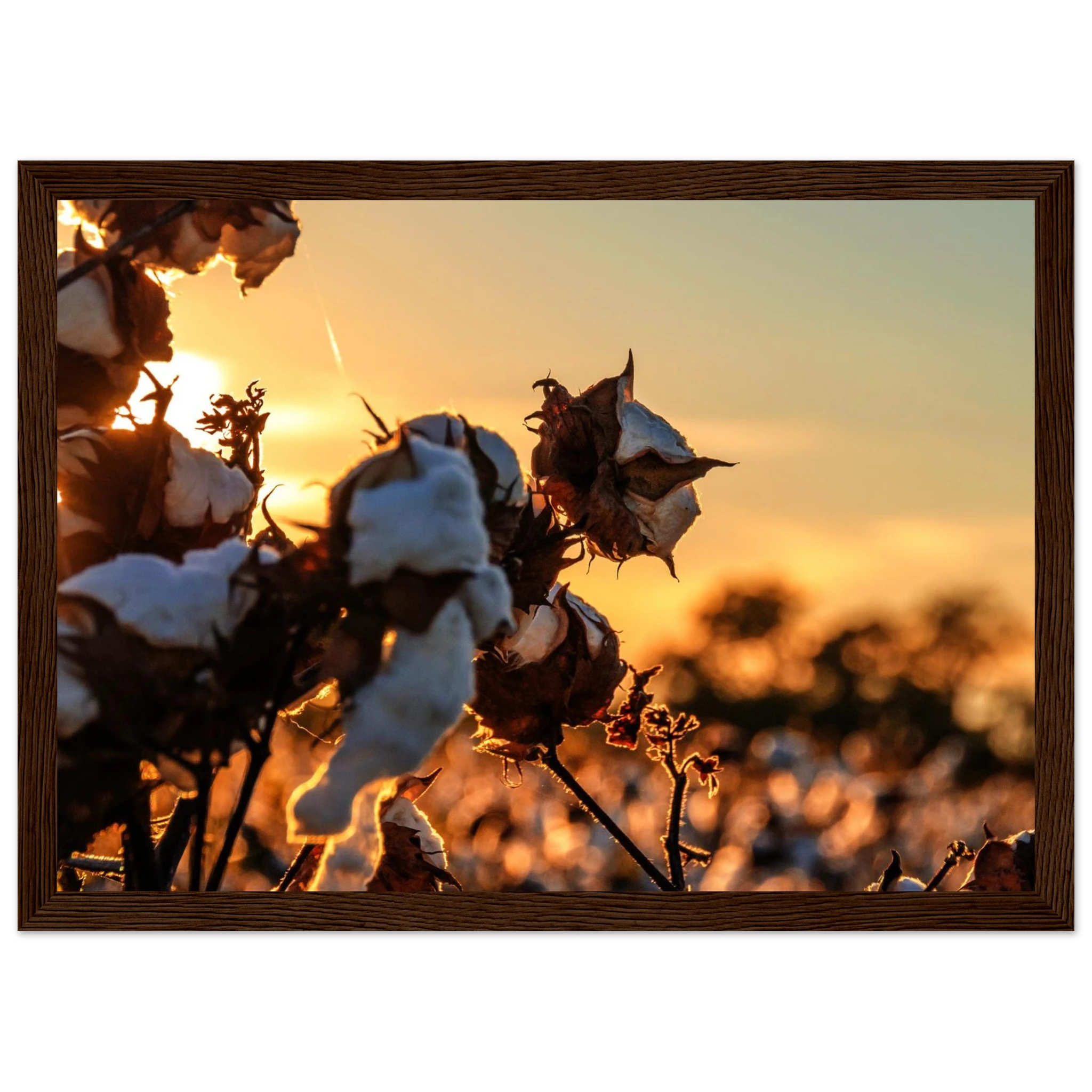 6f6f064c-6a8e-40d7-8d84-7041f1e9e76a