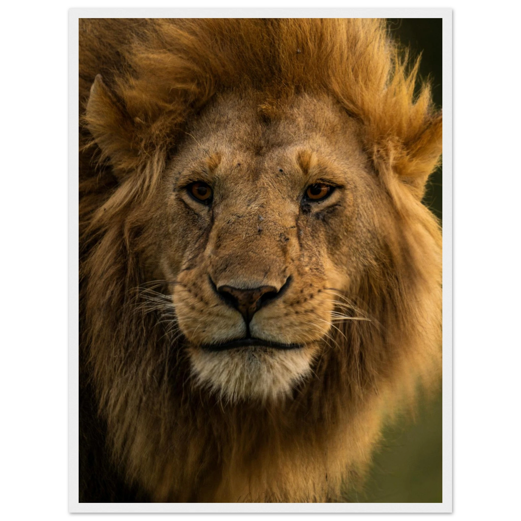 6f7e4e4e-dfd2-4bd1-afdf-9acb4bab4681