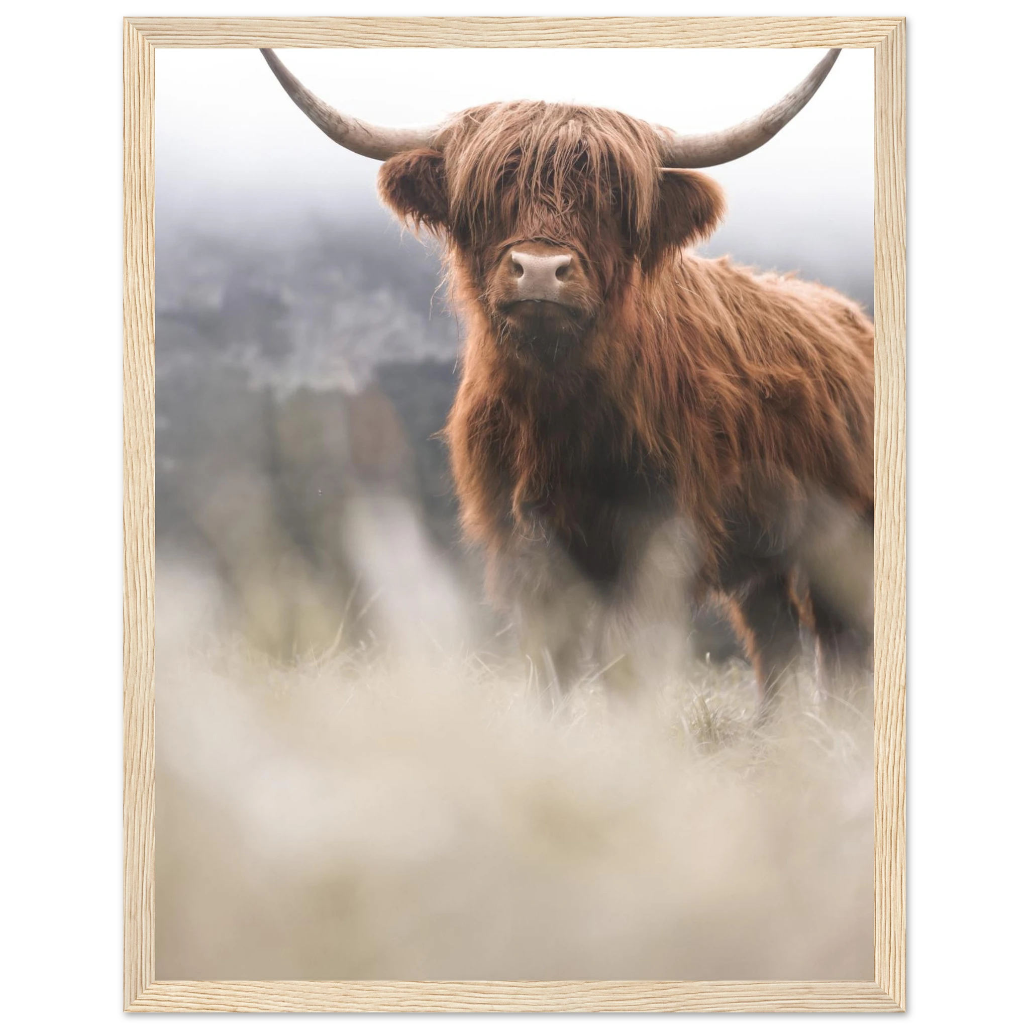 6f7e7fb6-85b2-4fe2-8685-206db700445f