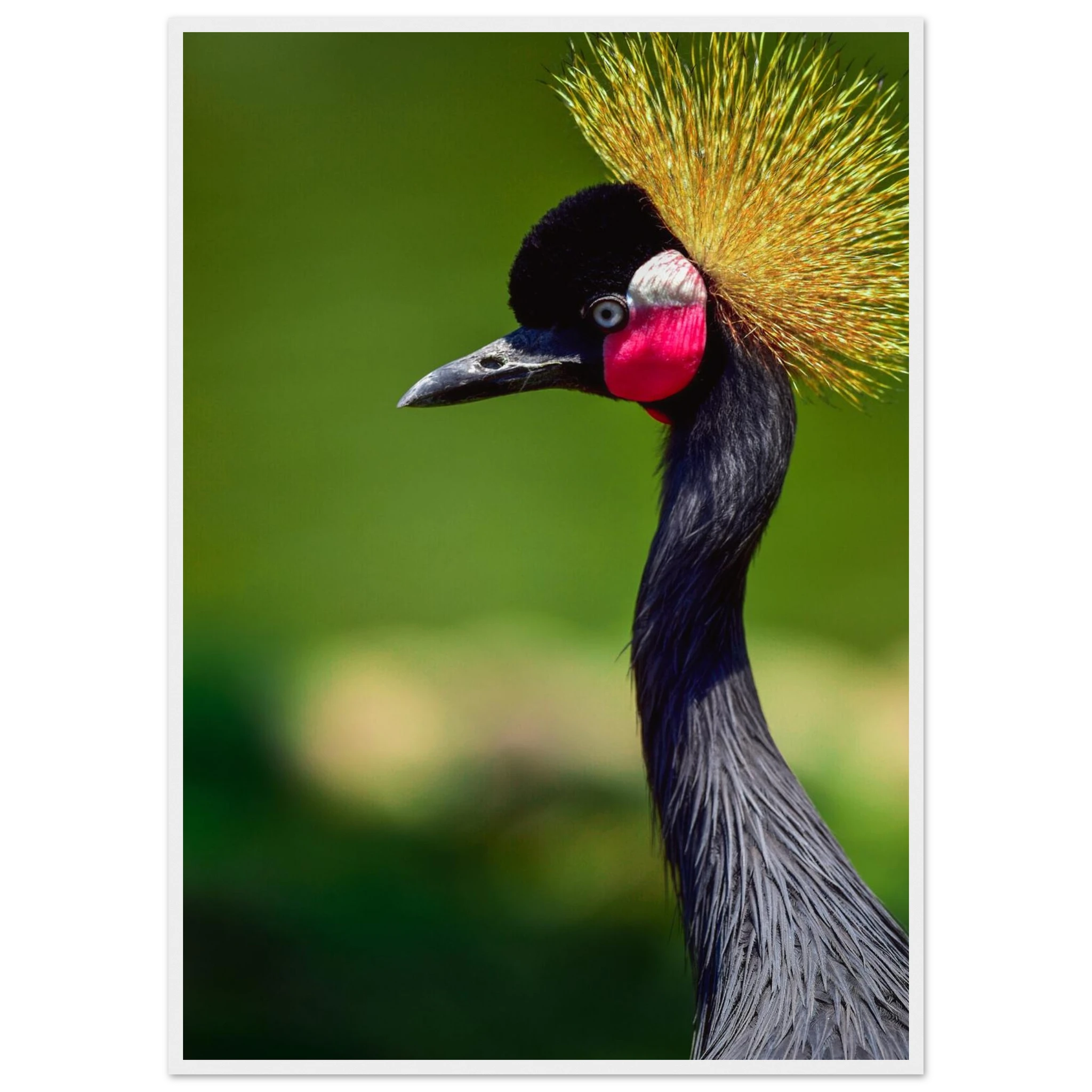 6f881a77-868c-4188-98cb-58ee10468855