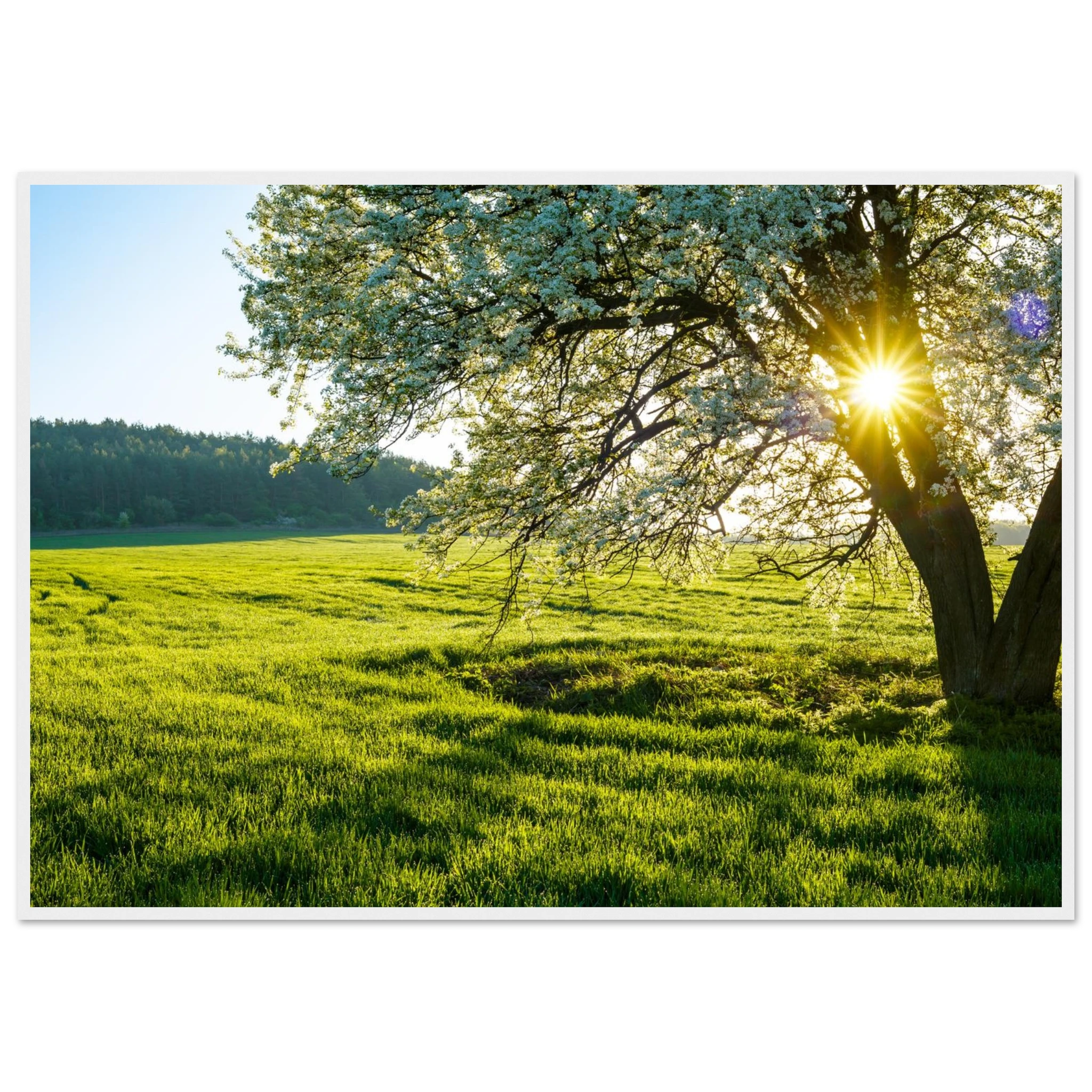 6f967a91-ac19-4939-a755-bd0d66021515