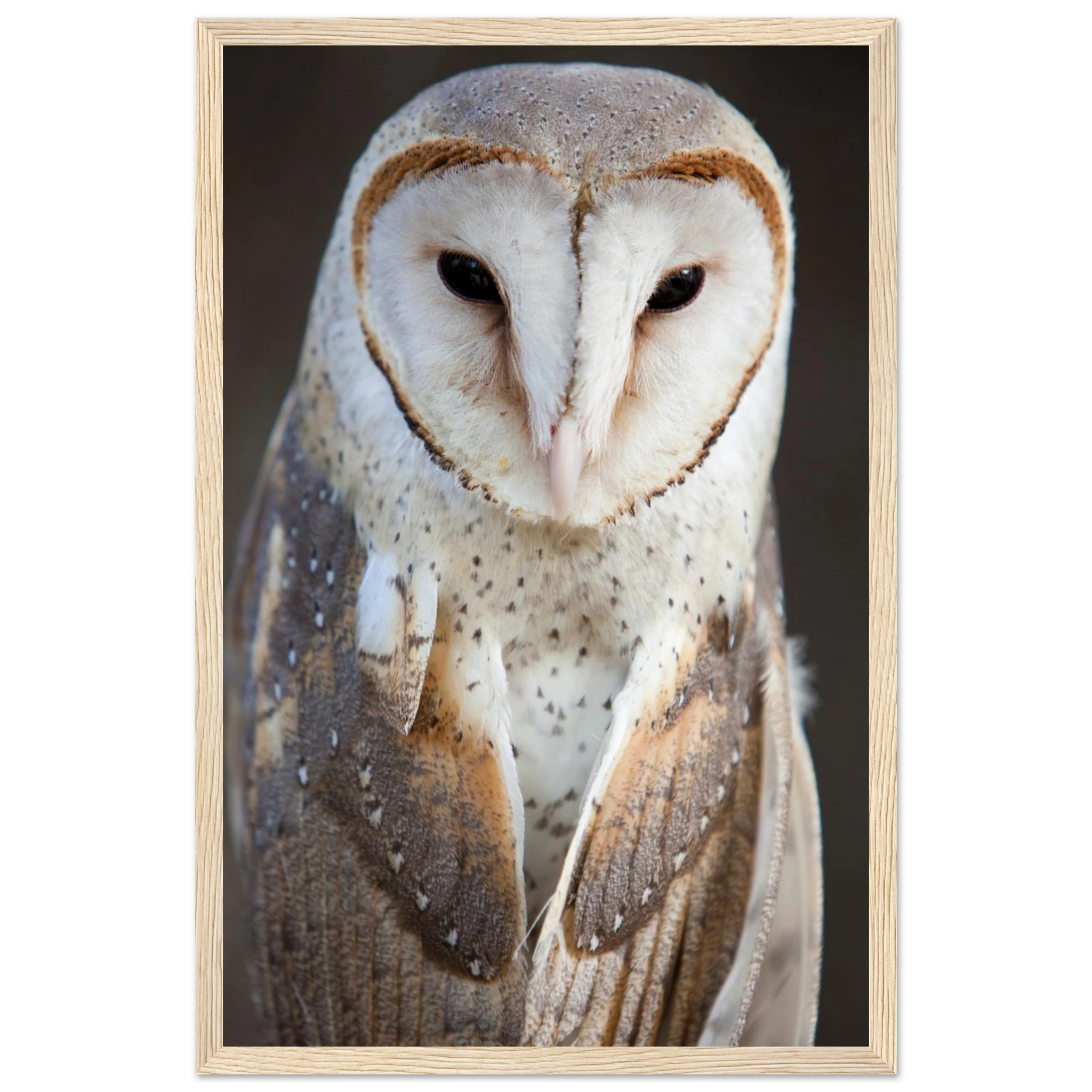 6f989aa6-72bc-4490-8d58-3c8ec014223a