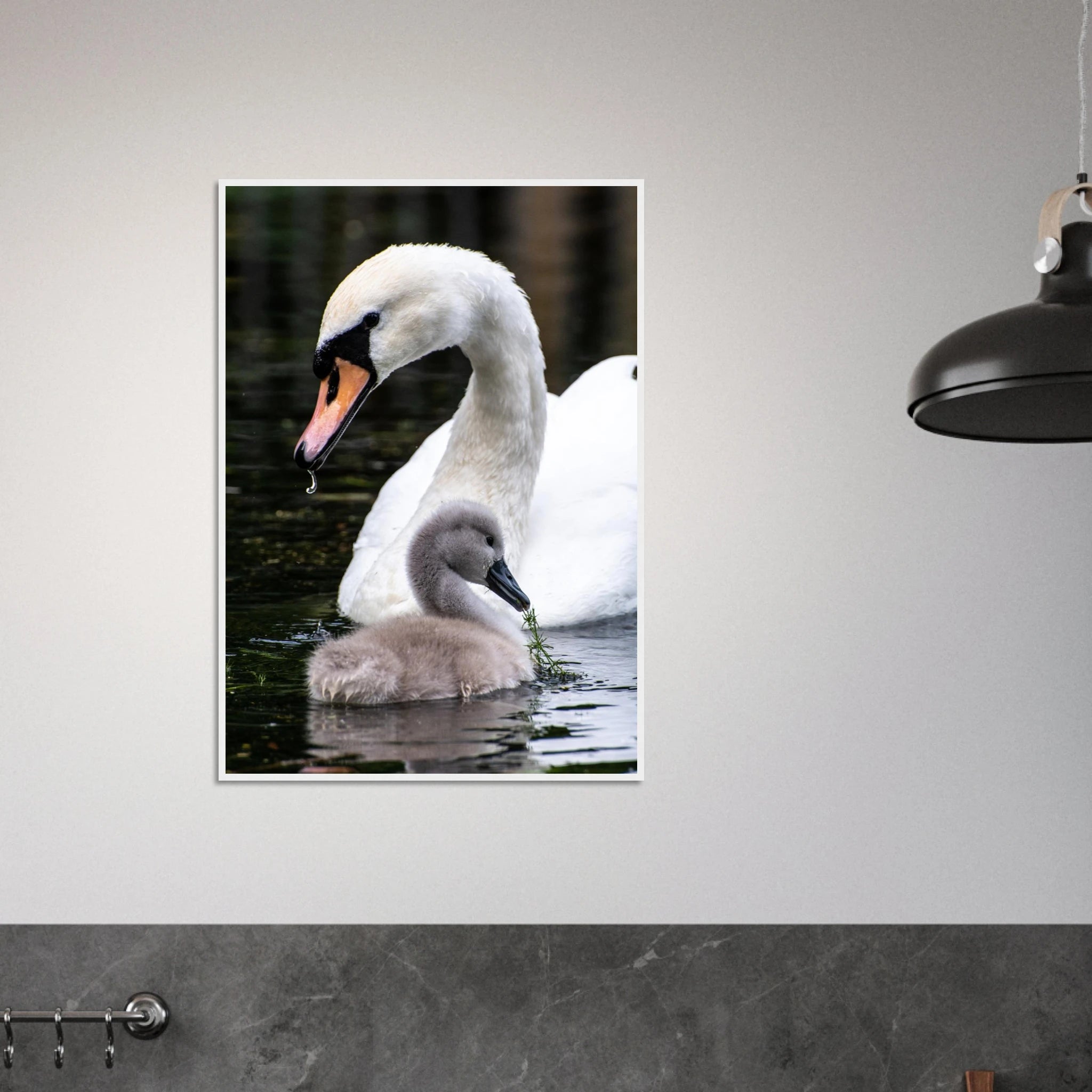 6f99c6c6-f237-438a-b9f9-c843b4de4a7f