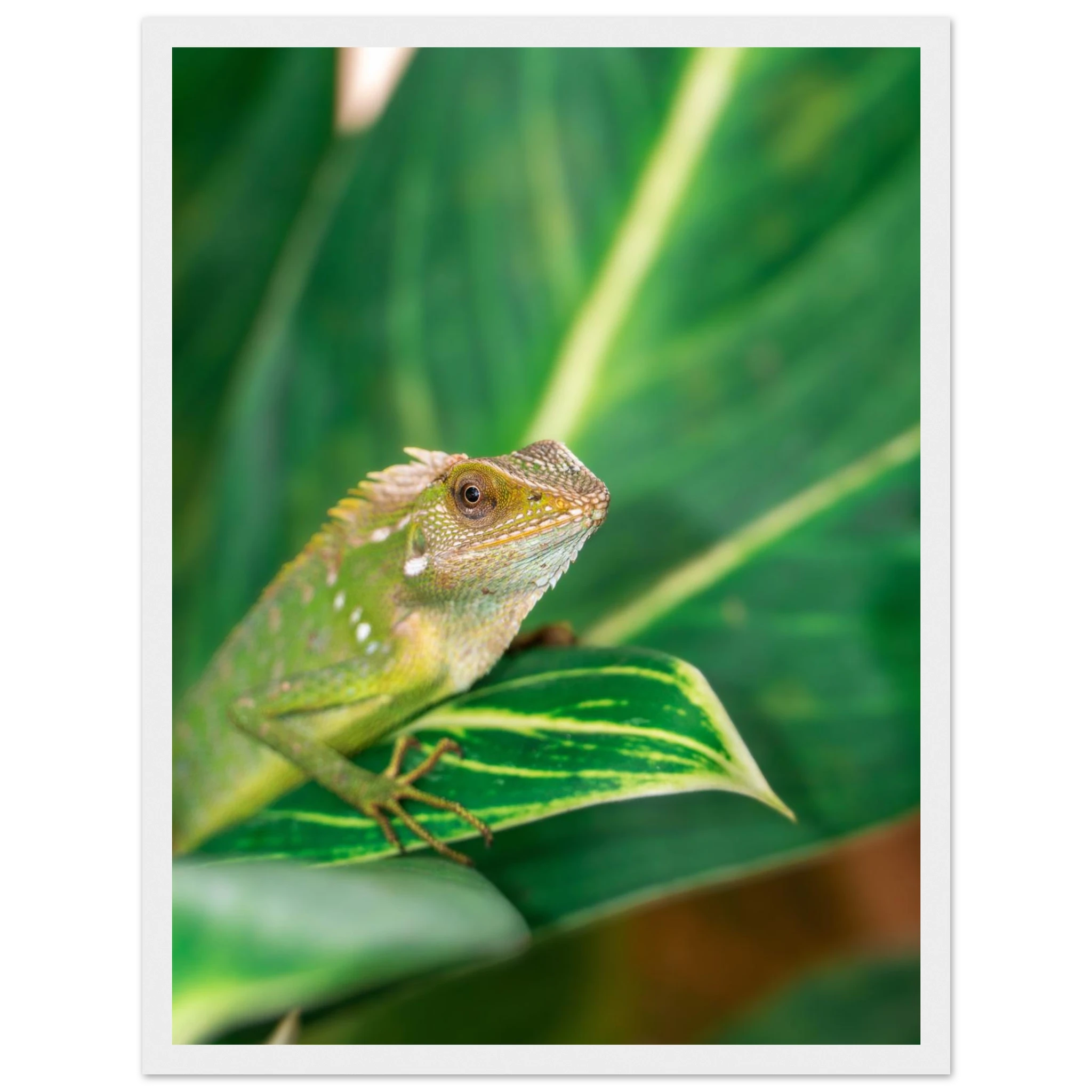 6f9ac43a-8cbb-4968-9db6-aabd208d4893