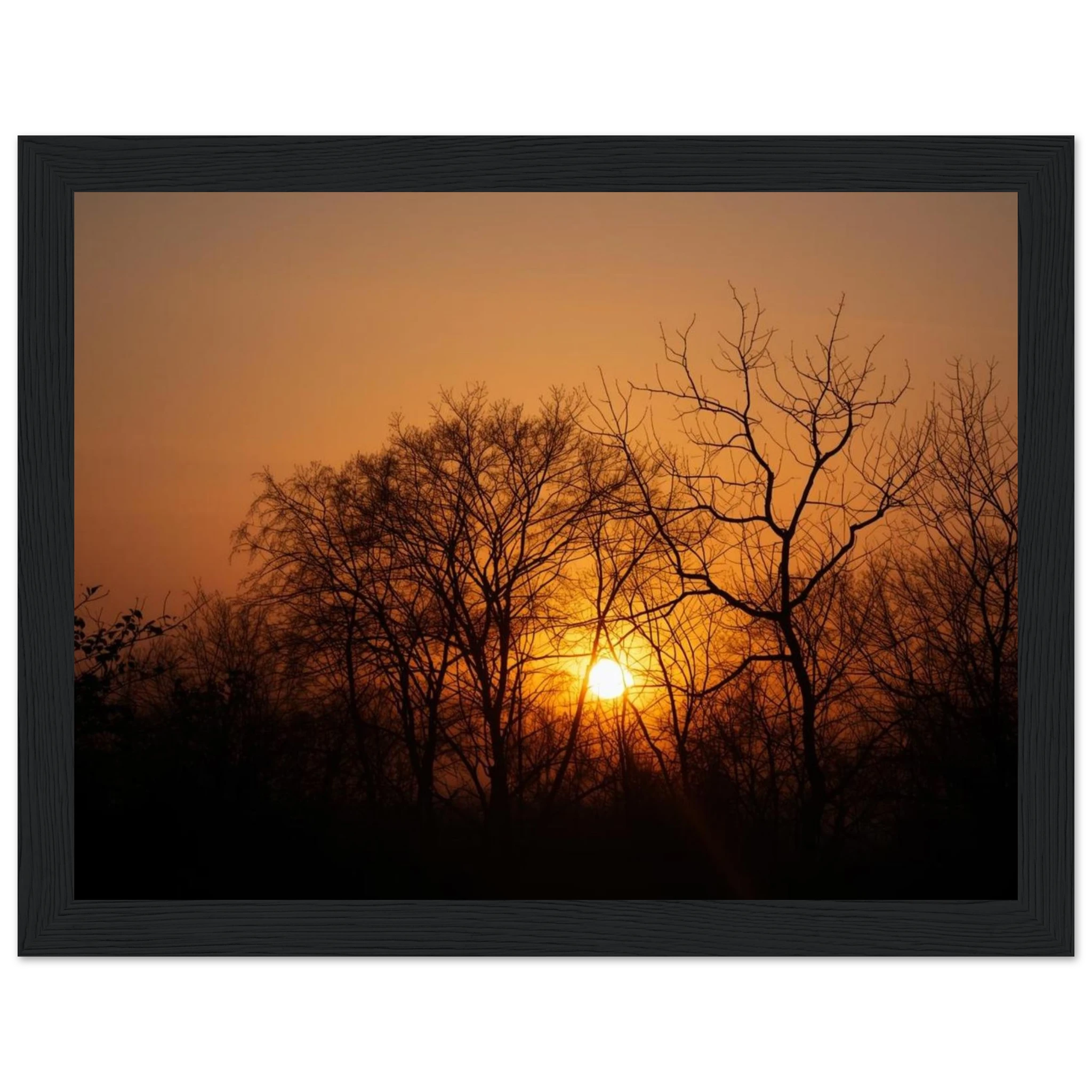 6fa657a7-bd93-41ca-ae7e-ac349d55e321