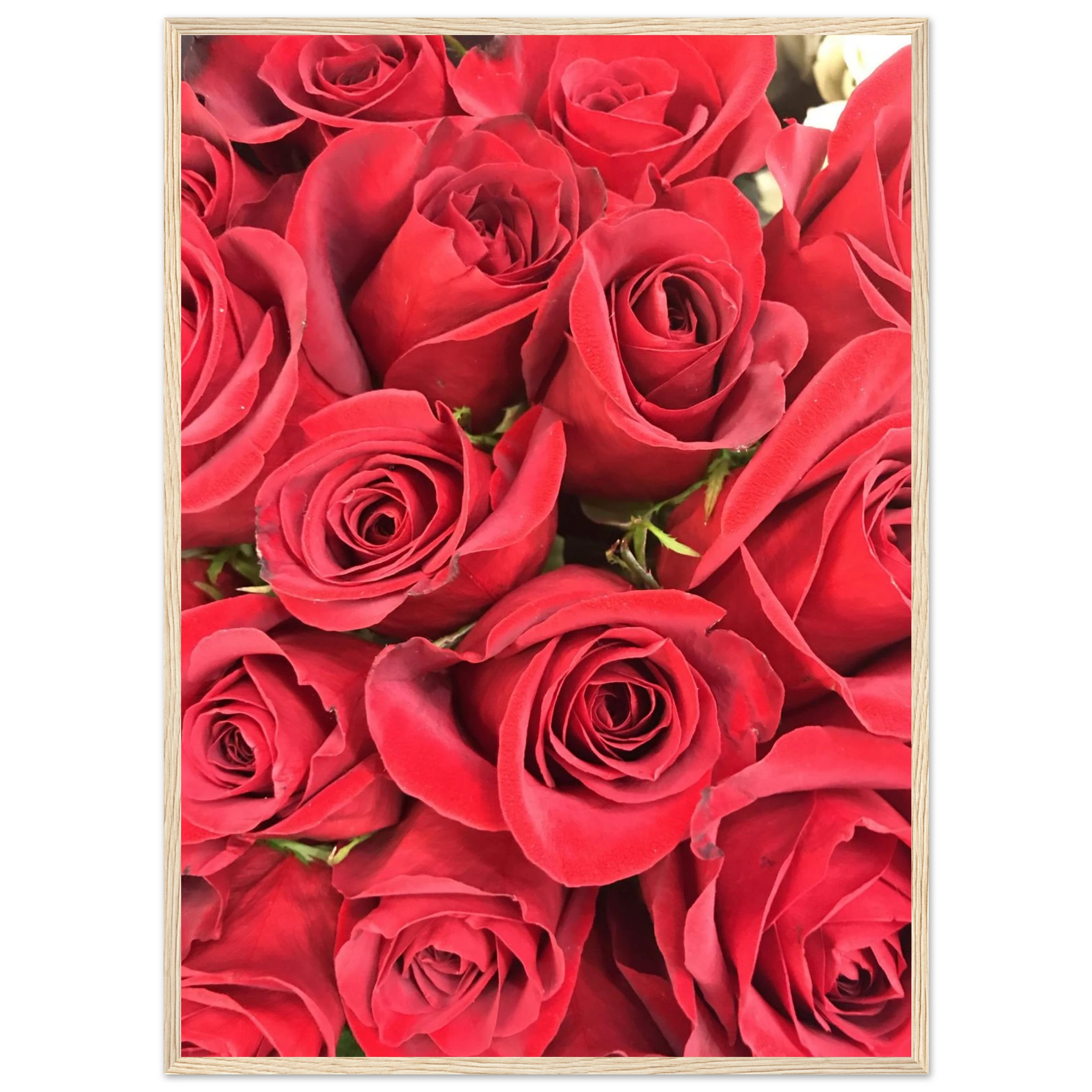 6fcb9542-388c-46cd-92be-c56caadc3652