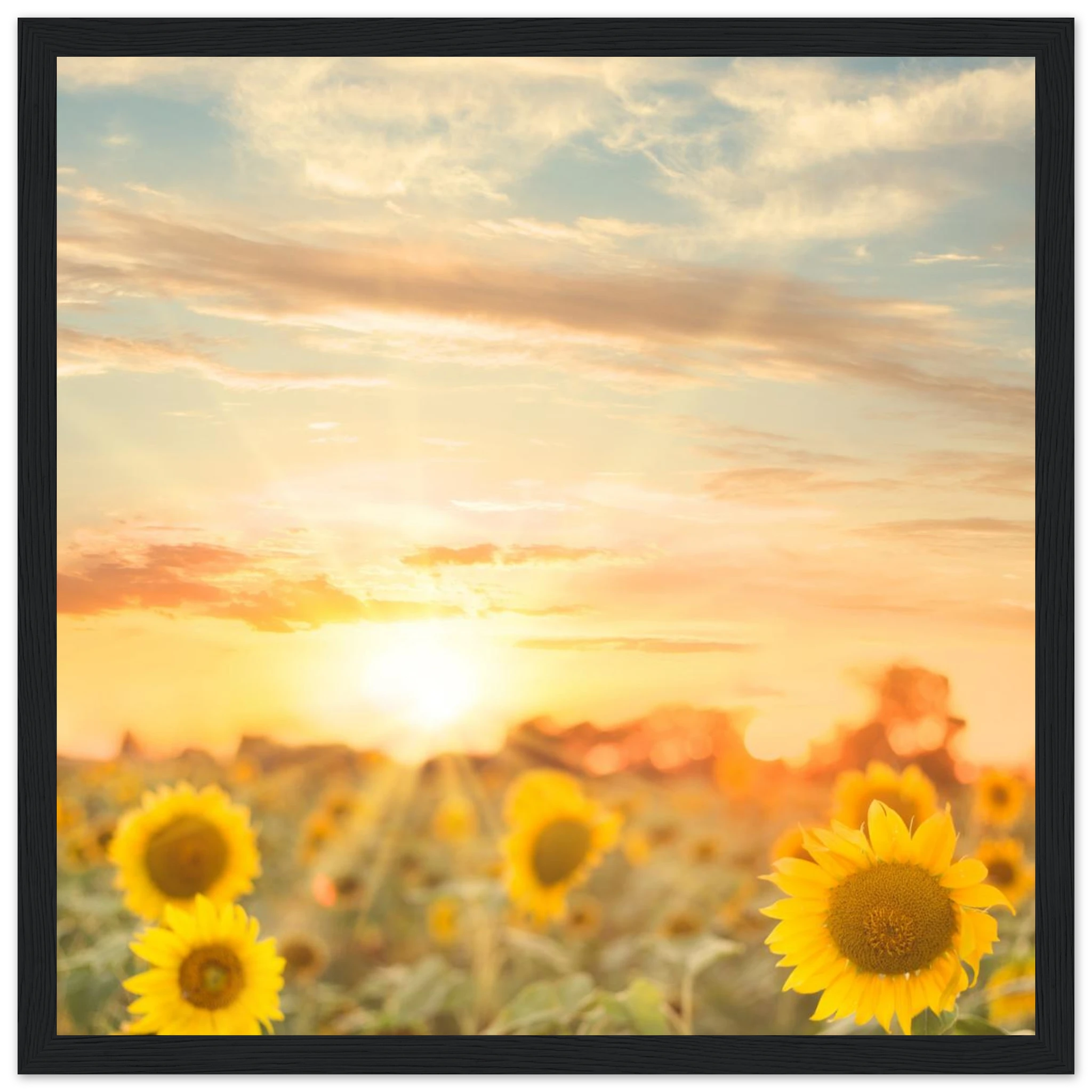 6fcea58c-725c-4d3c-ba1f-24b8bc375de0