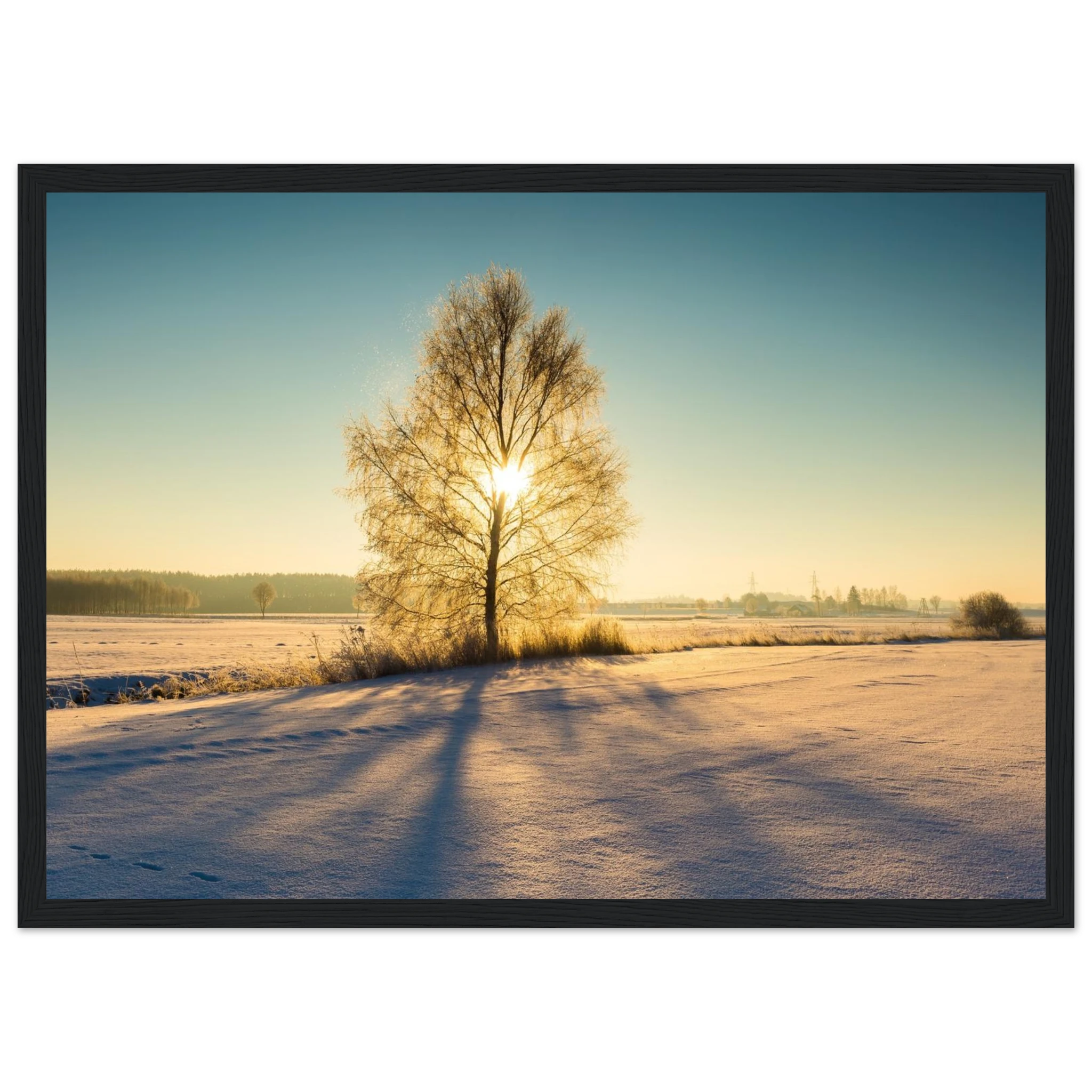 6fd4826d-3cfe-46ac-9052-9d5f2414ccb1