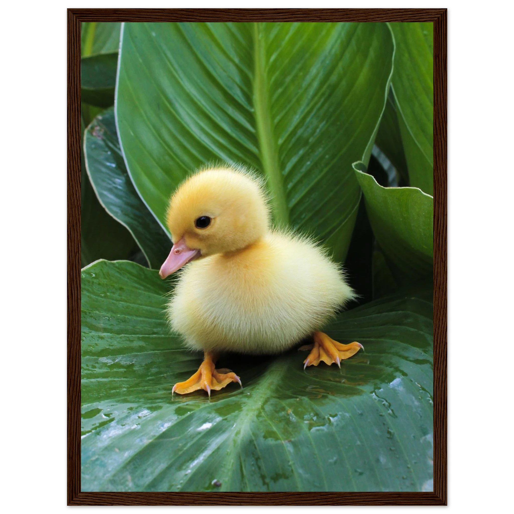 6fe78602-edb4-4d93-ae67-0efb3062e83b