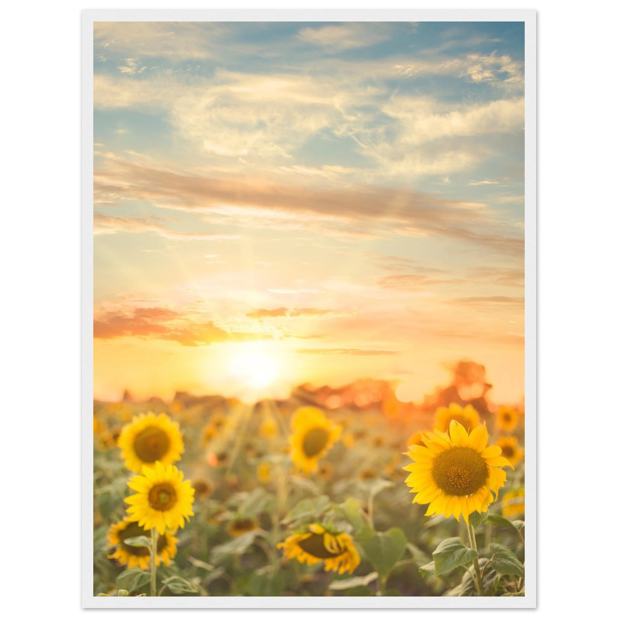 6ff92f96-570b-45b2-b81f-39ff5b3358c5