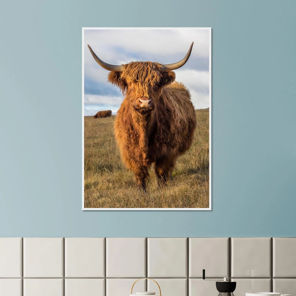 7007188d-4919-44f0-ba08-0ff0dac1155b