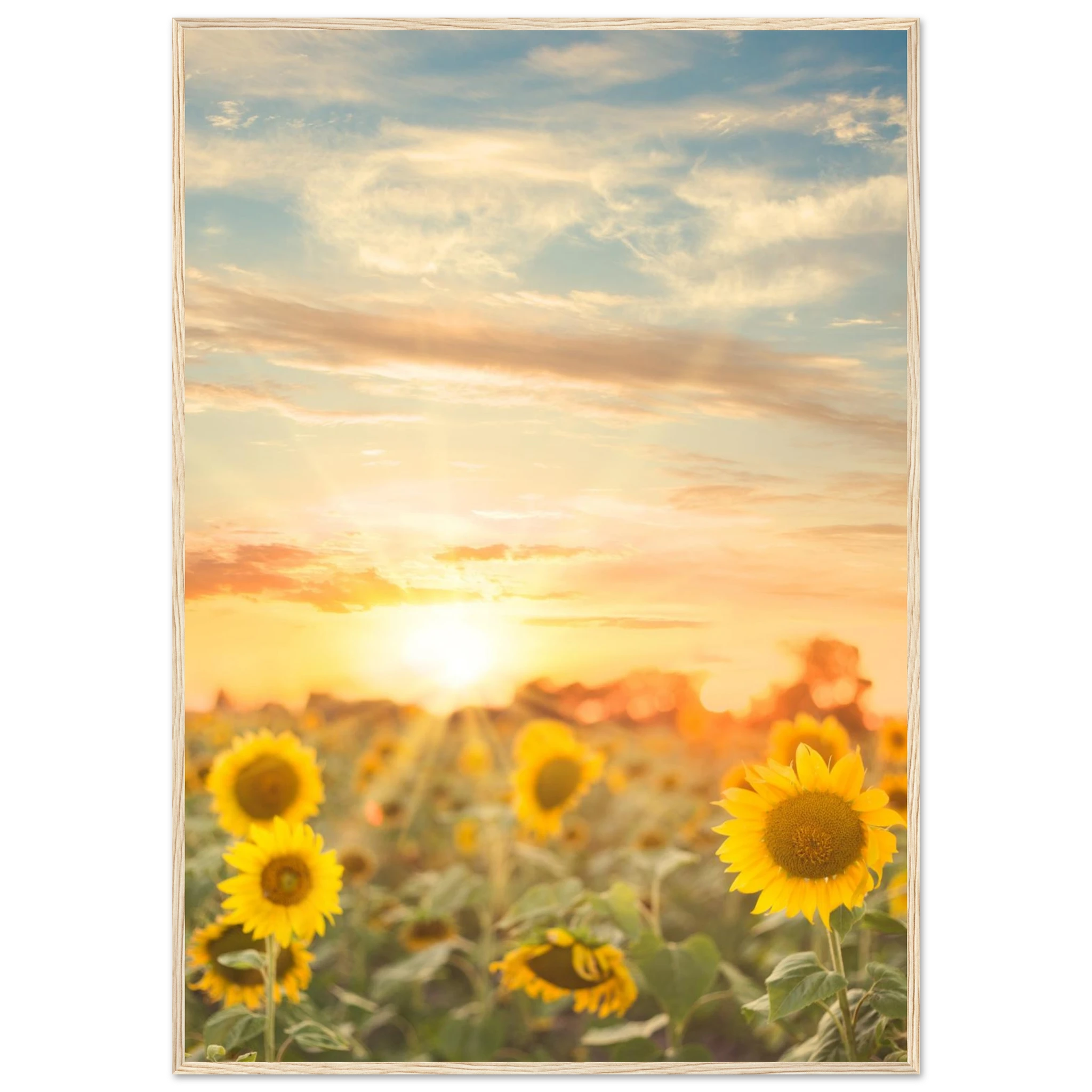 7009a4d8-d151-4c26-8ad6-4b5499df61c3