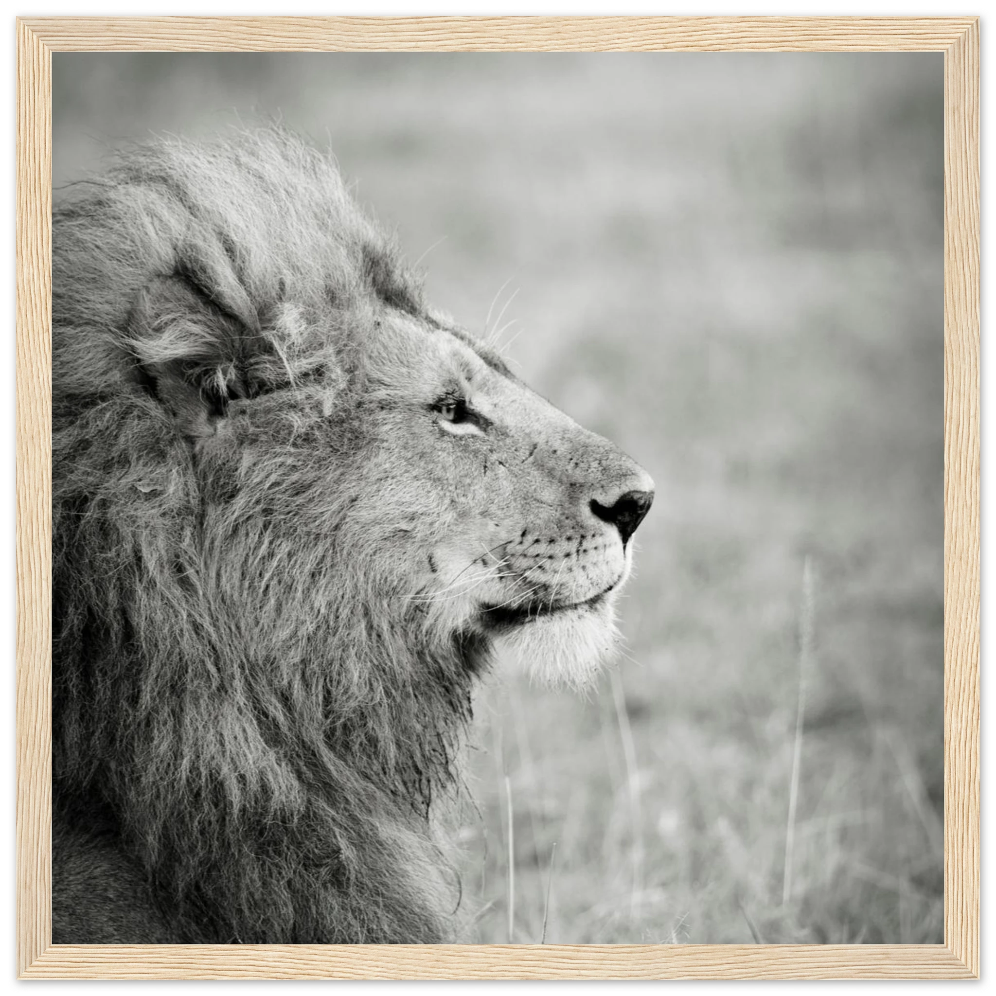 700b304a-5751-46d8-a309-3cb49be9f0a9