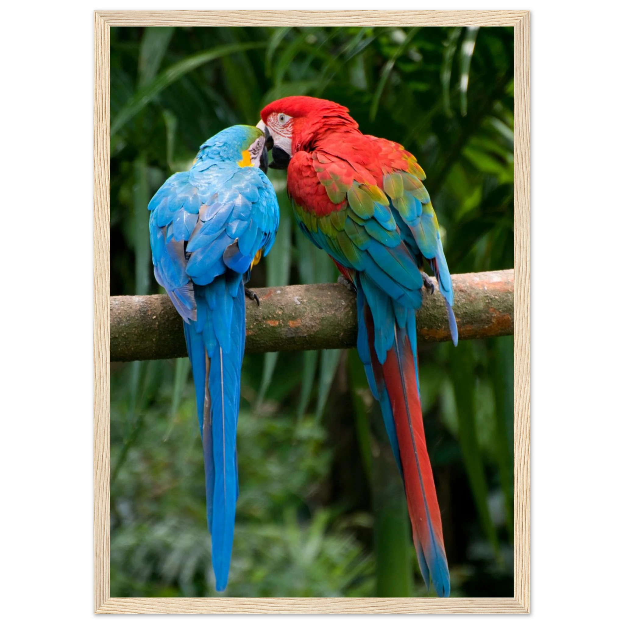 700e319f-0d18-478e-bc15-34f32636d456