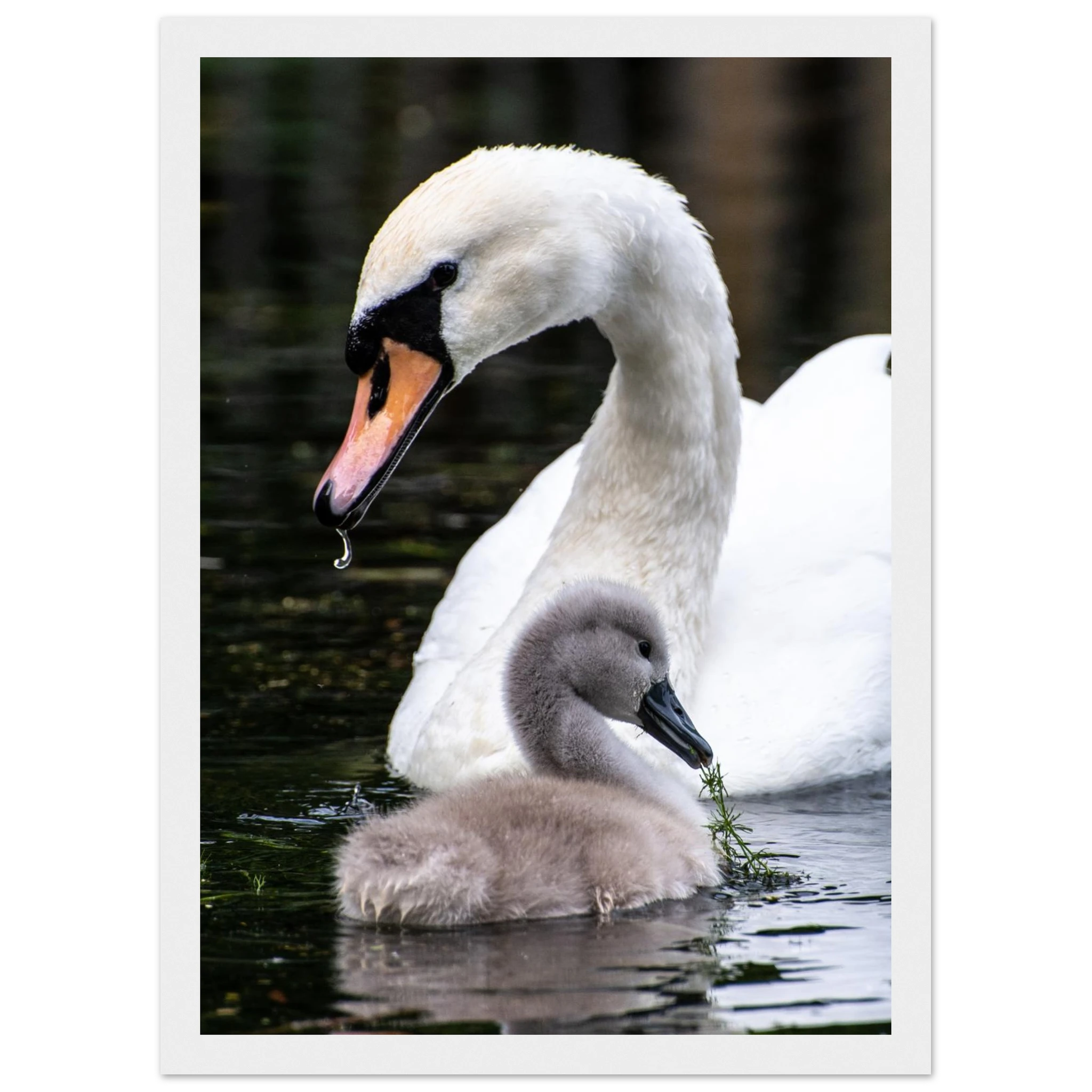 70105b3d-e52f-45ca-aa70-15c17e4d27ea