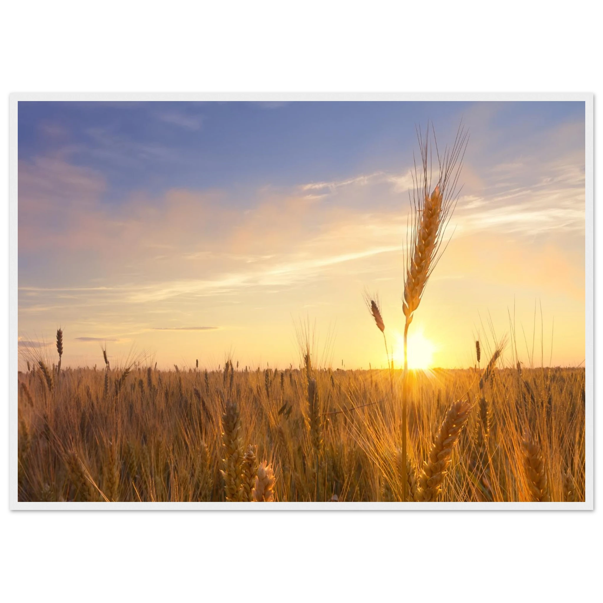 7014780e-c908-425a-98b4-6d9d9336d976