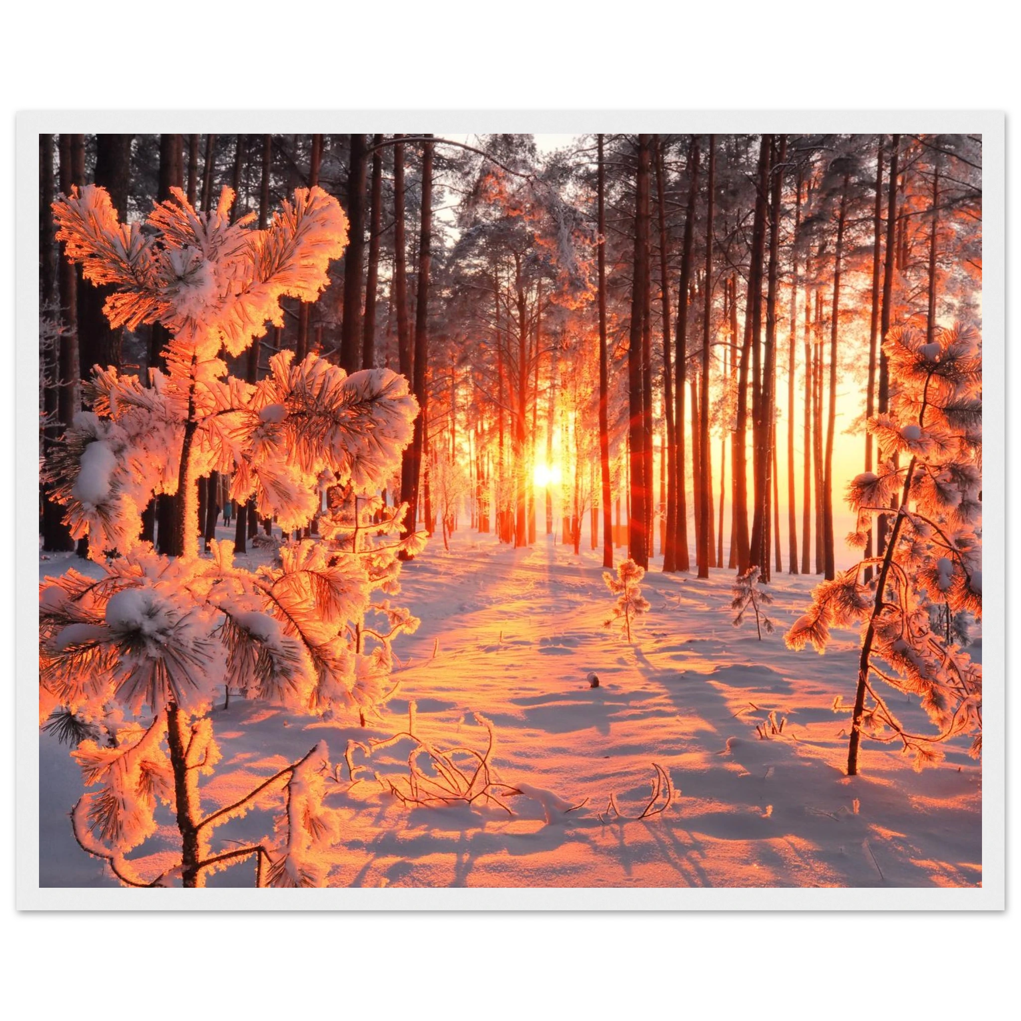 702e4105-89df-42ab-a59e-4f349b86feff