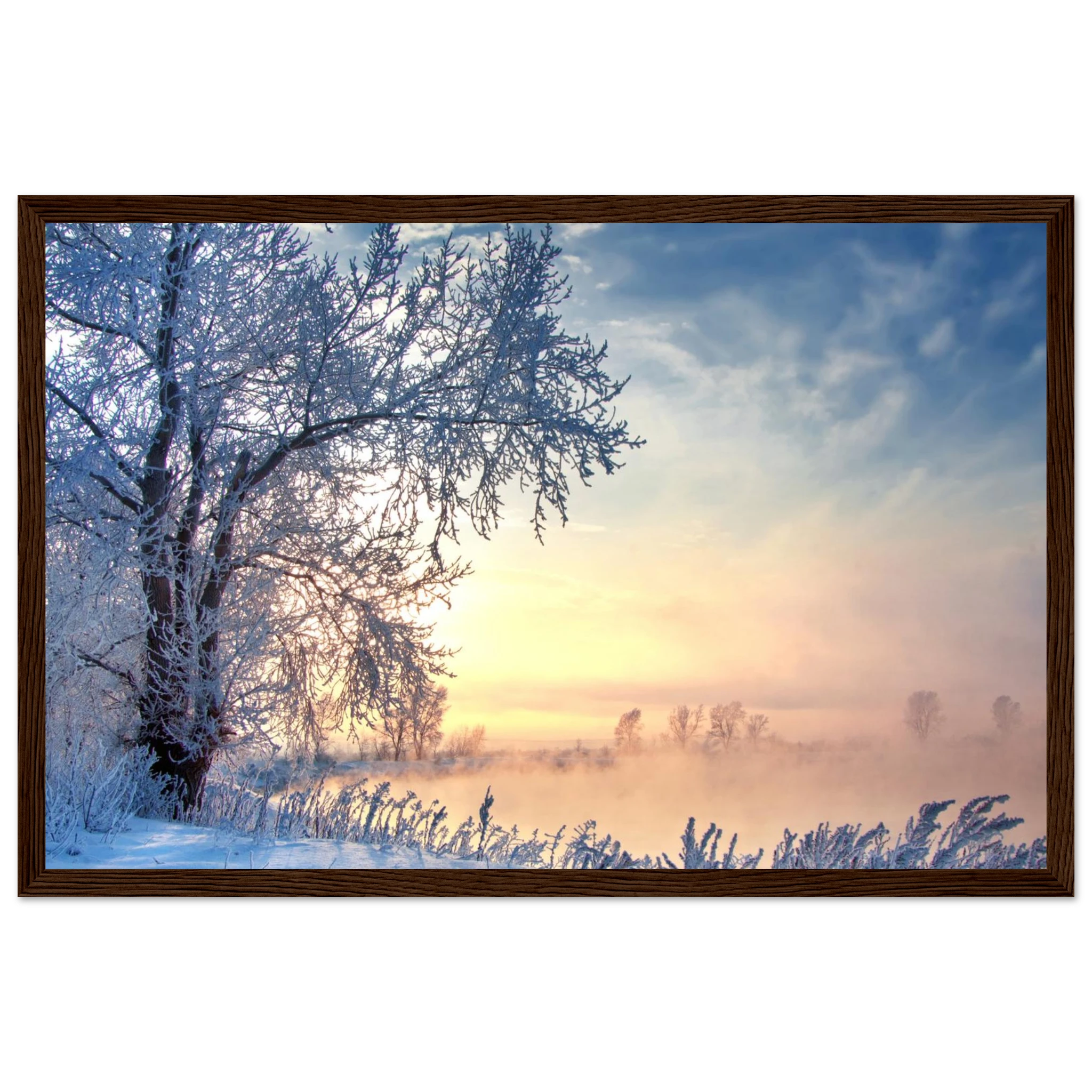 705241a6-03cb-42ad-8293-7f2c7c968239