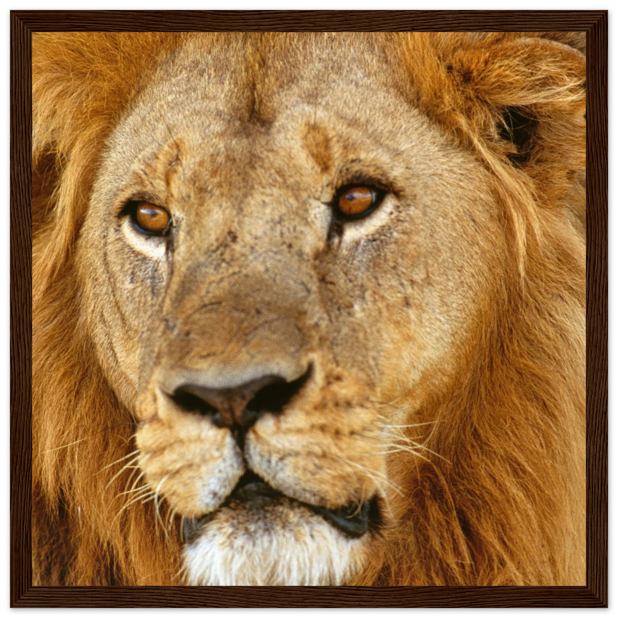 7062797b-2557-4ec7-aeb9-e7585ea5eb4e