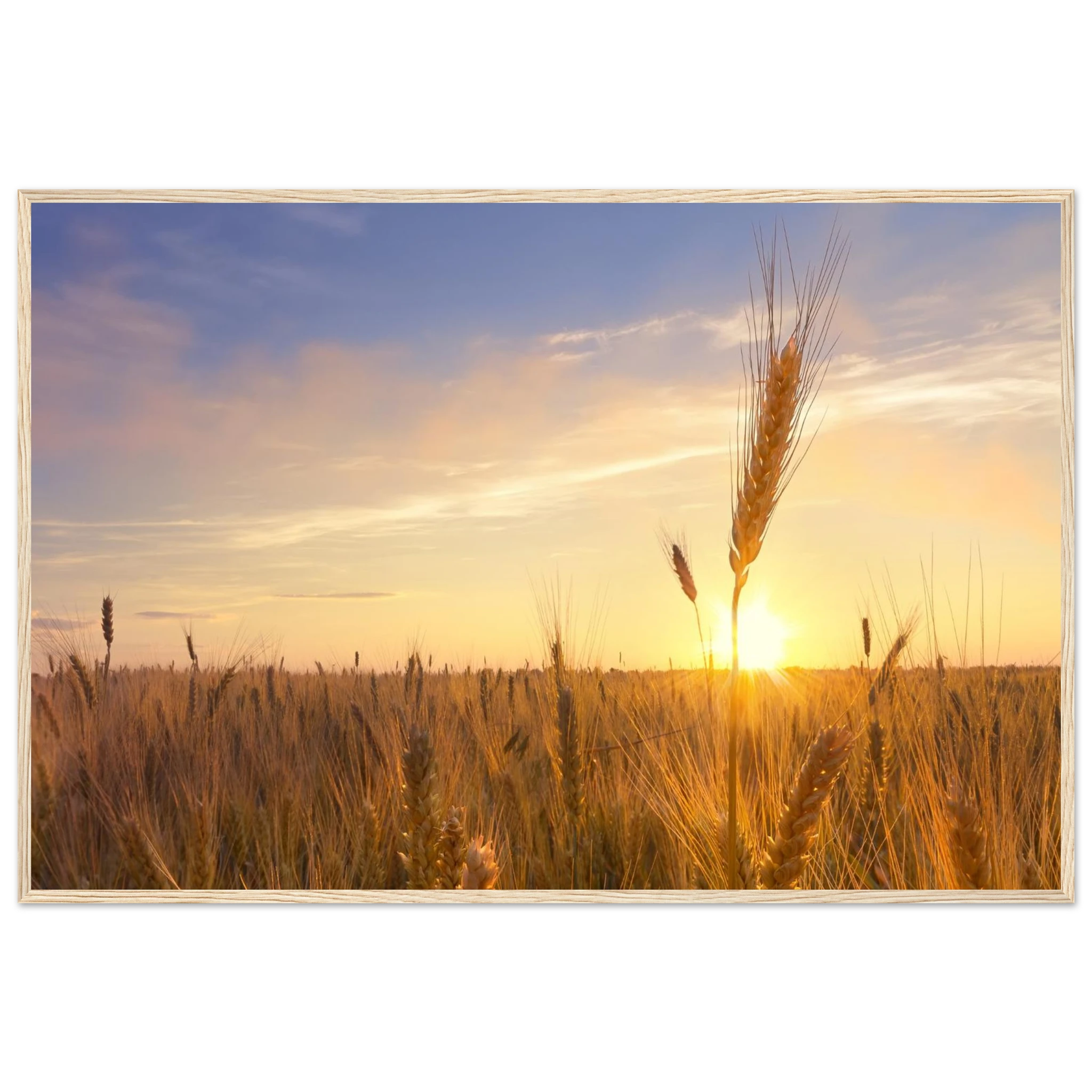 7074ba50-d9df-47fd-839a-ede27f3f3981