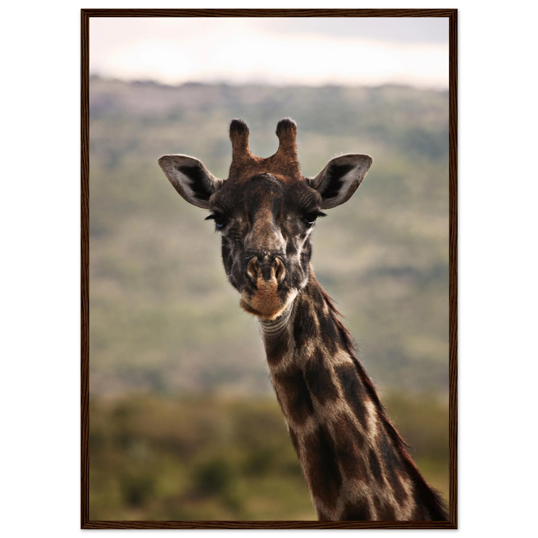 7096efe9-9b32-4128-ab32-37f4c2886c1c