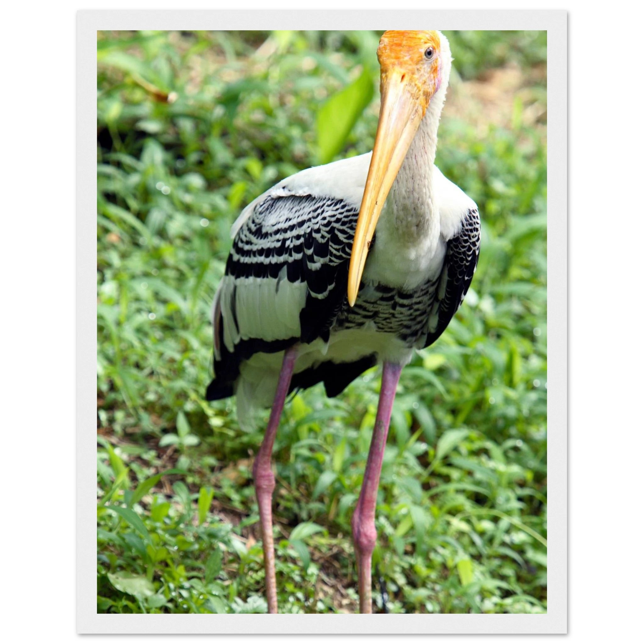 70b165a9-1b32-46af-9675-b787d7c60190