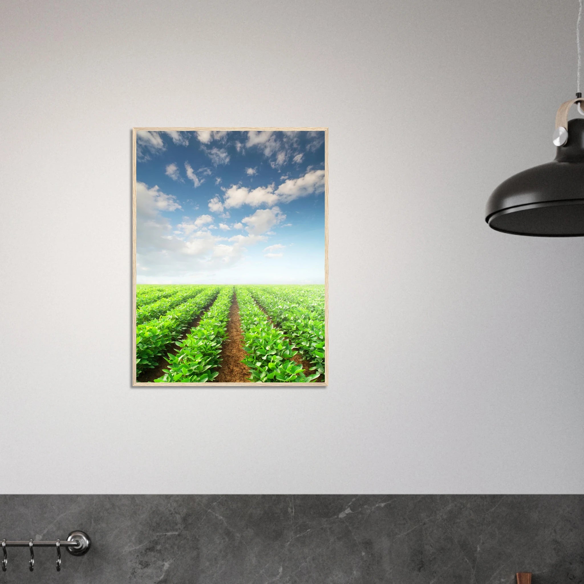 70ce13a5-ade2-4f75-bba0-42781afbbb0c