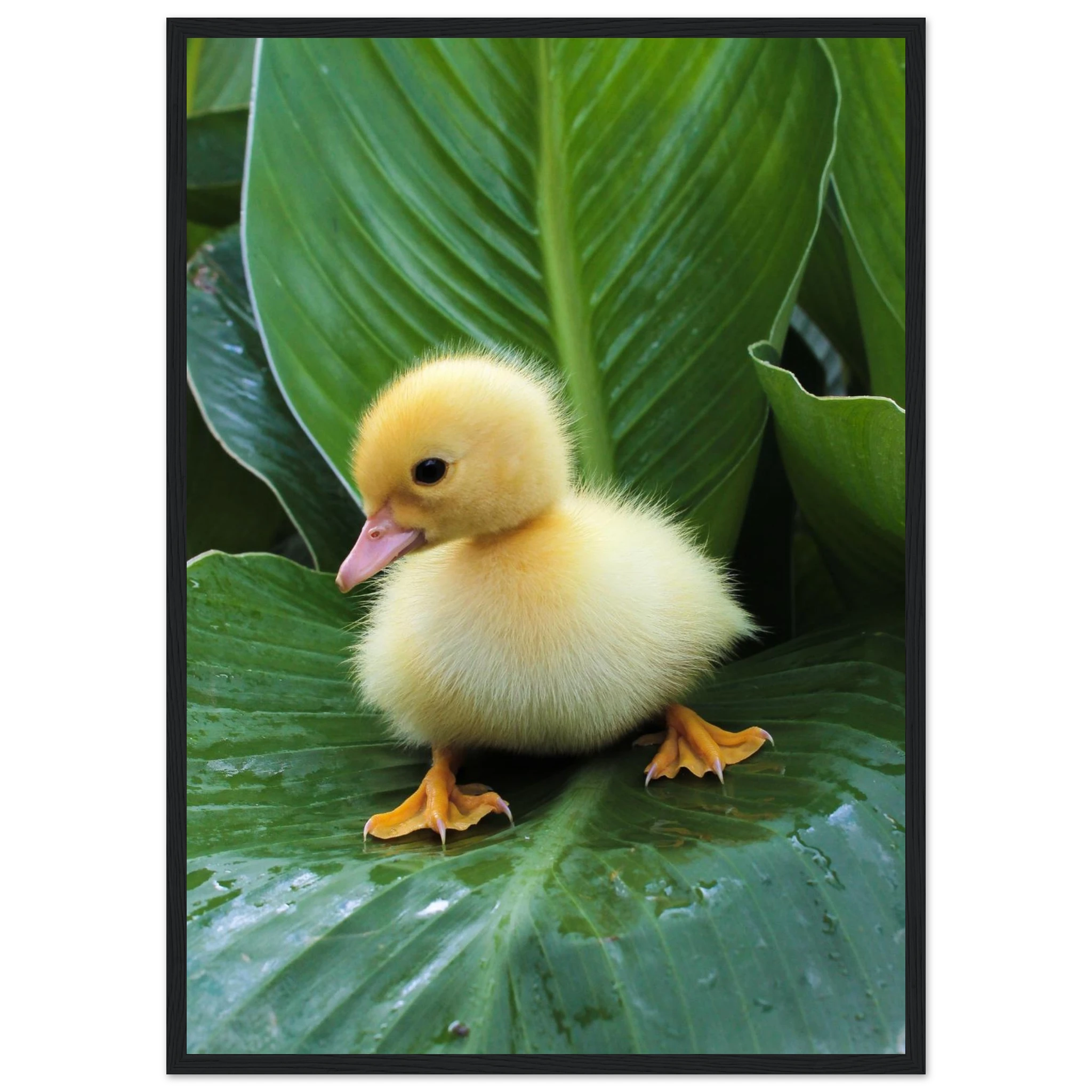 70d24d7b-4c67-48bd-b308-adb405484c03