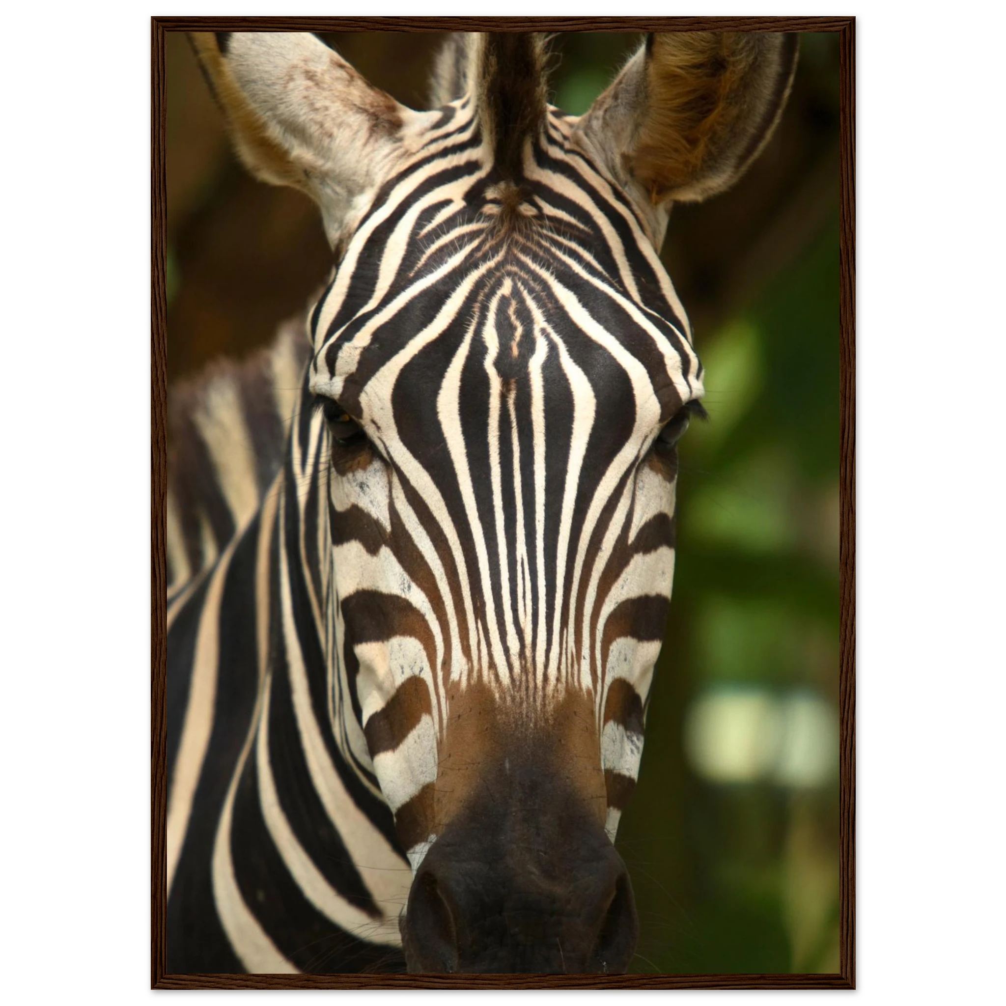 70dfd8af-1447-40c6-87b8-2e66721d04f9