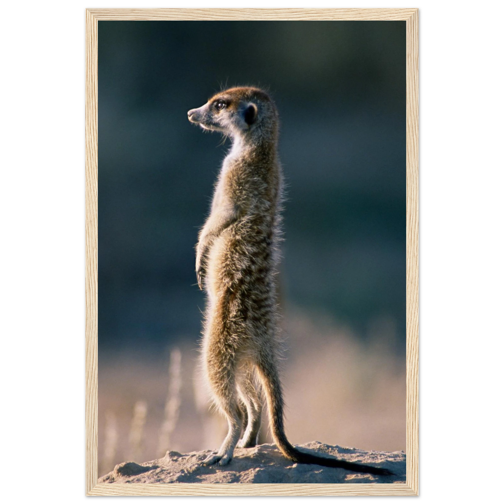 70f20772-490c-4b6e-8b6d-5dcc3cdb03e0