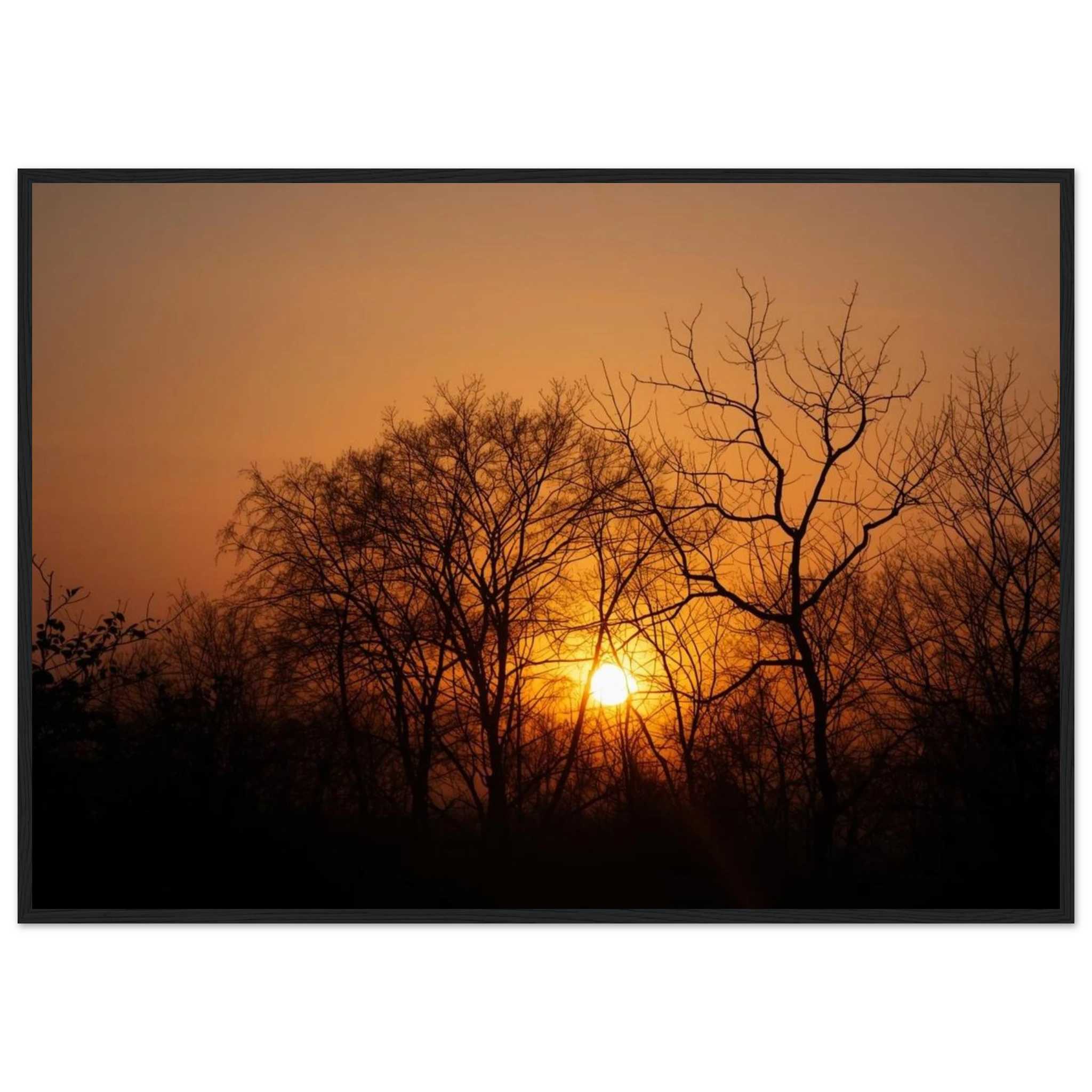 7129270c-9657-4903-8d31-992e91e90ef8