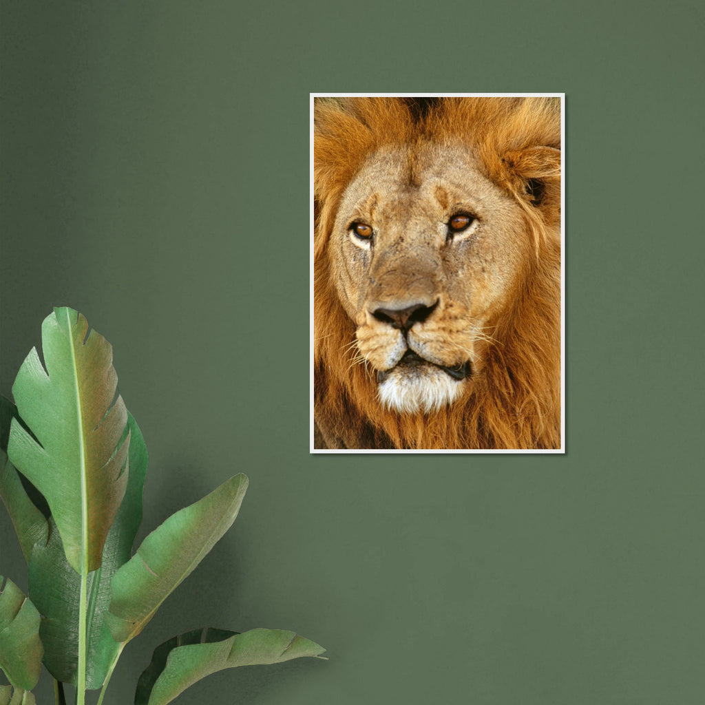 713388c3-fa0d-420c-afe2-901de7b9e3c4