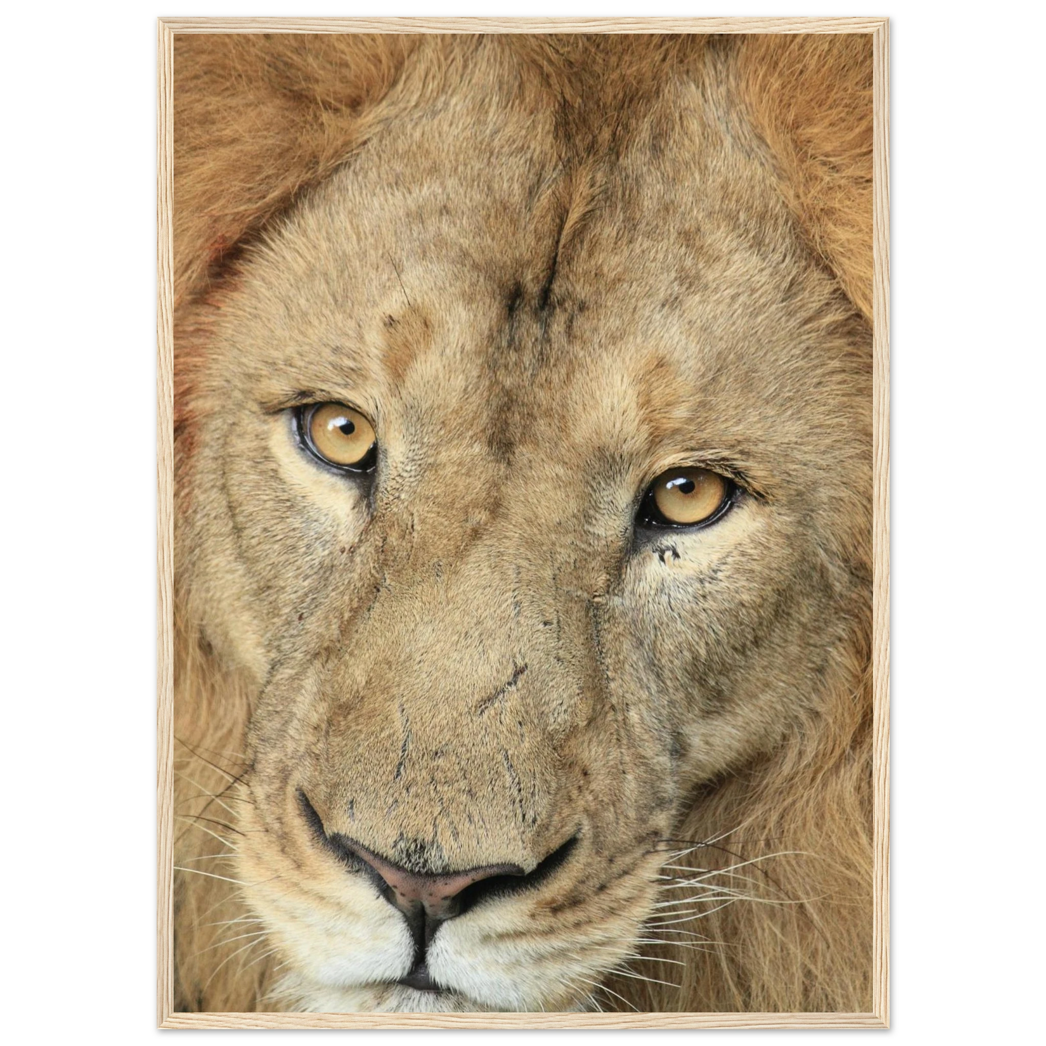 71394568-fab6-4a37-82e8-f9c013b32f1c