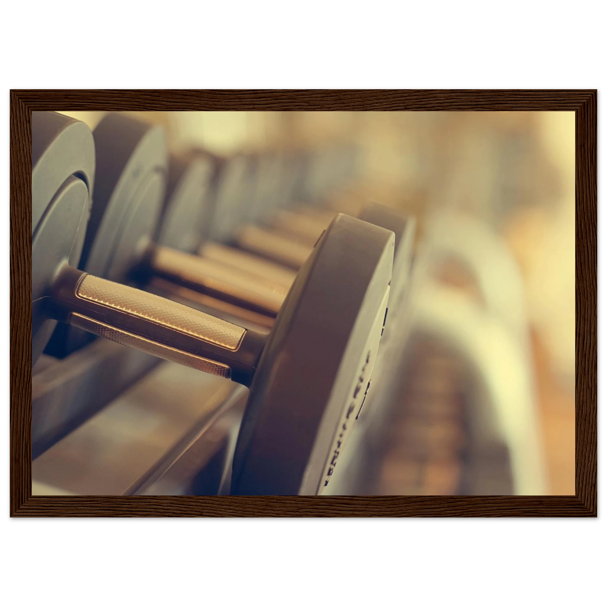 713b65e2-2b4d-4259-9beb-2f0922572344