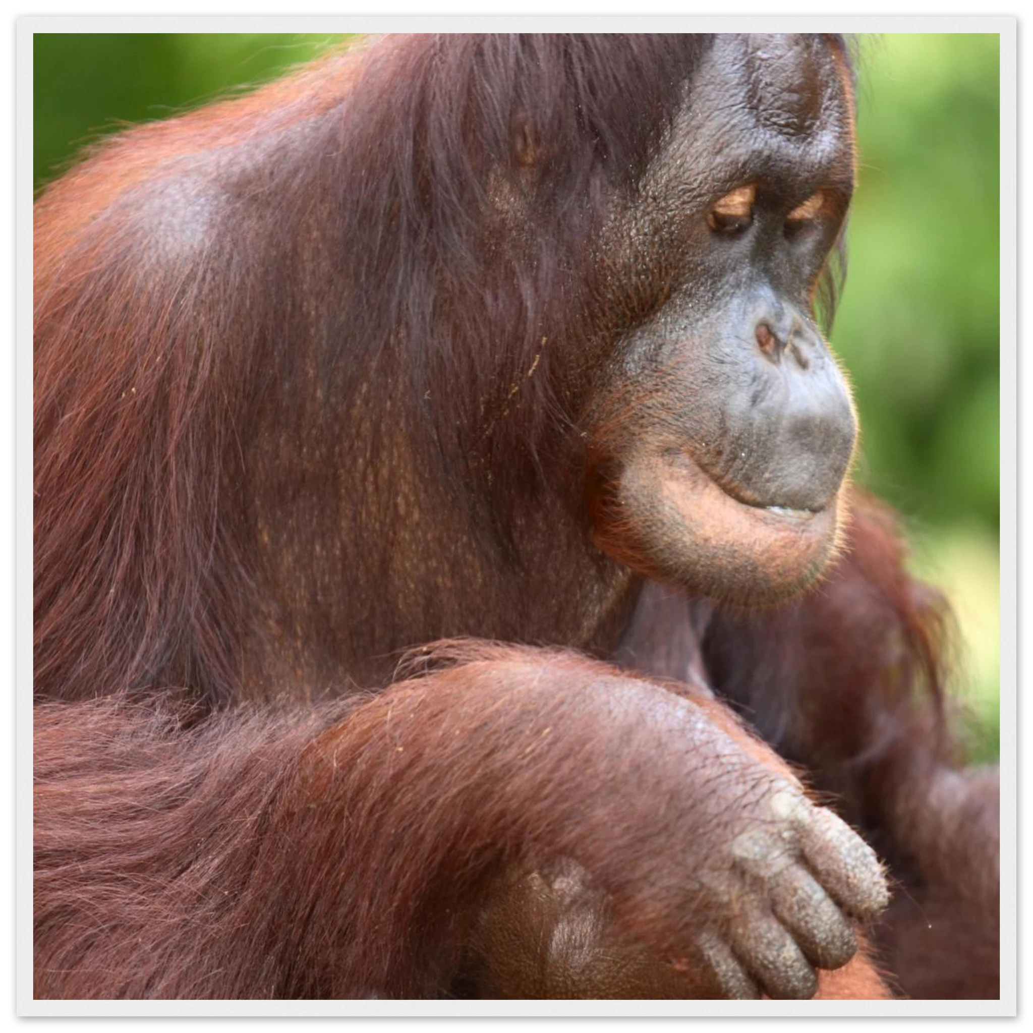 7143a5aa-bf7d-465c-934b-8c951e89a4bc