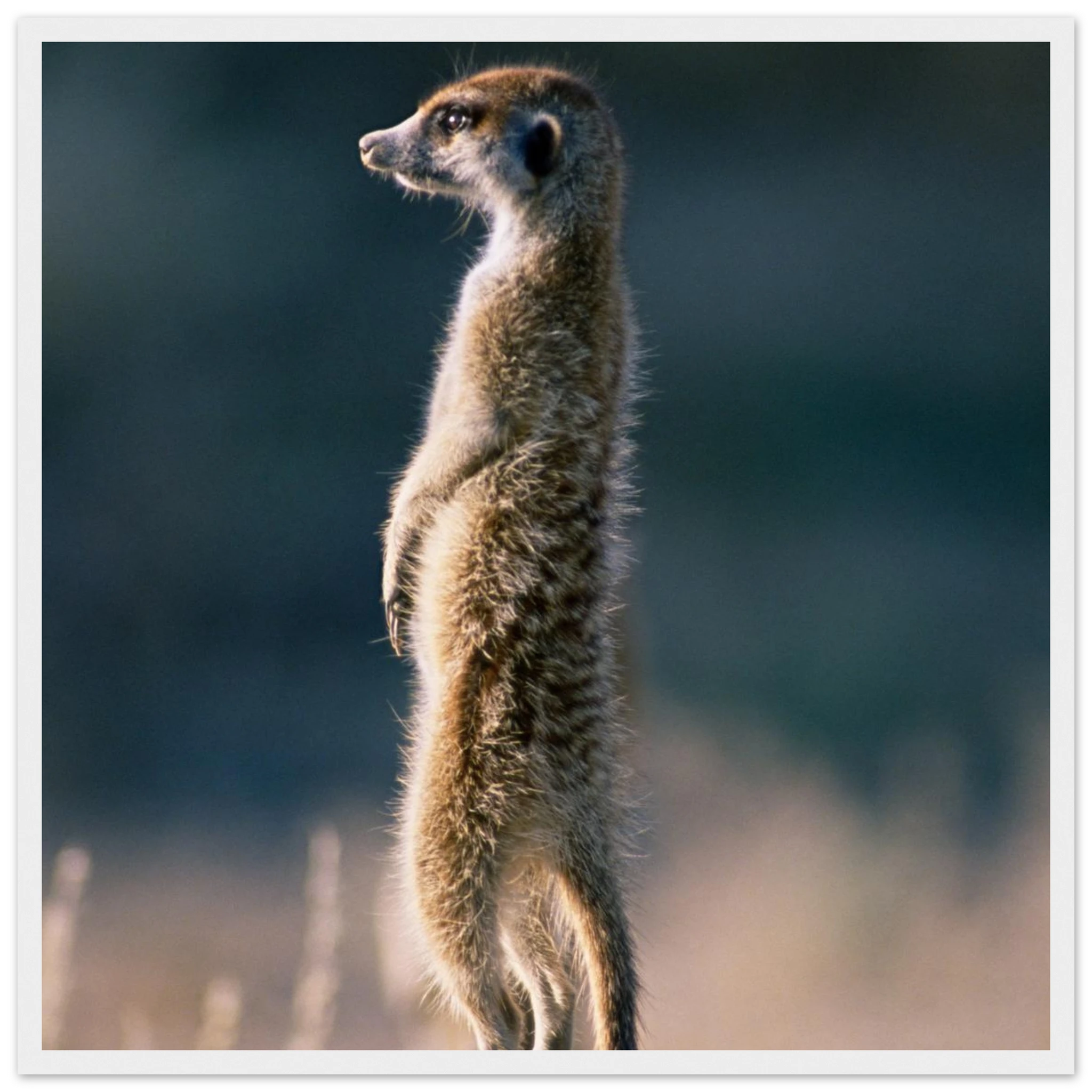 715aed16-7c3e-45e2-a6da-b325cdf4145a