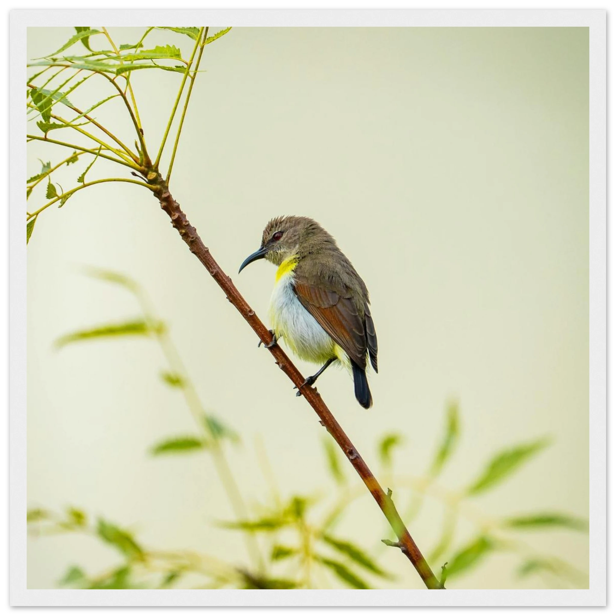 716818c3-3984-45ca-87ba-669b6e52c95a