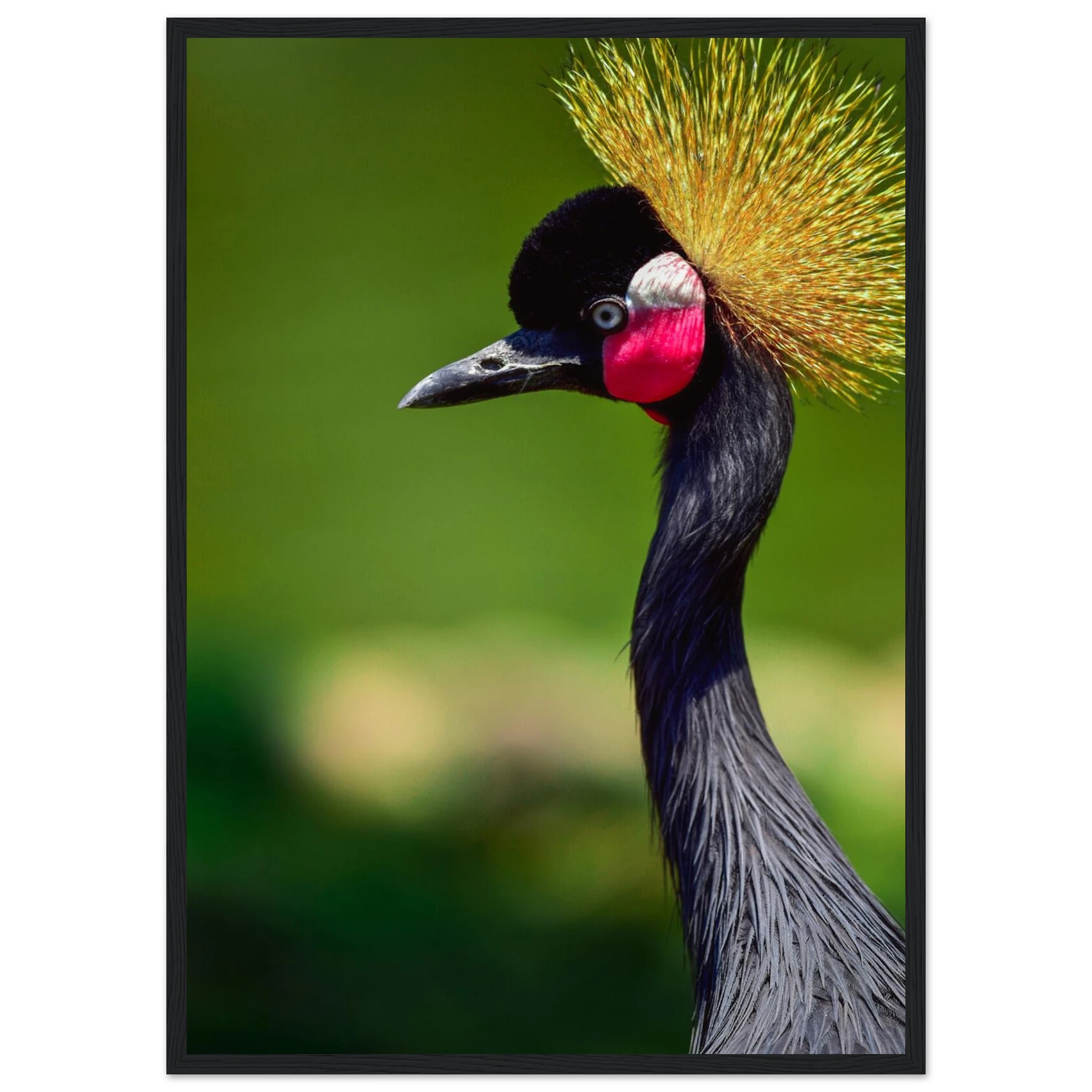 71739204-739f-4699-92d1-dd018d86af69