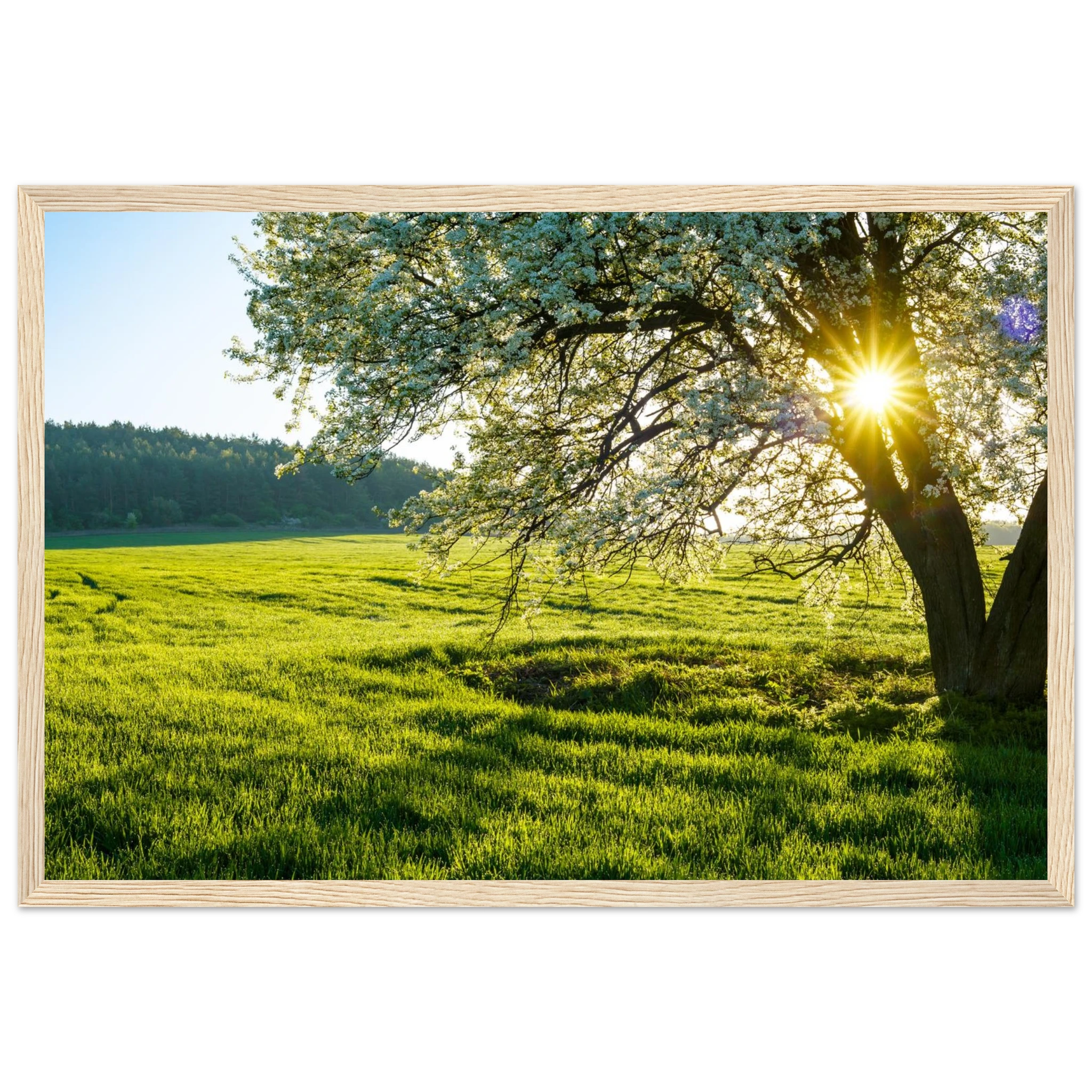 7173baec-5b27-42b6-86d6-714f7747ba47