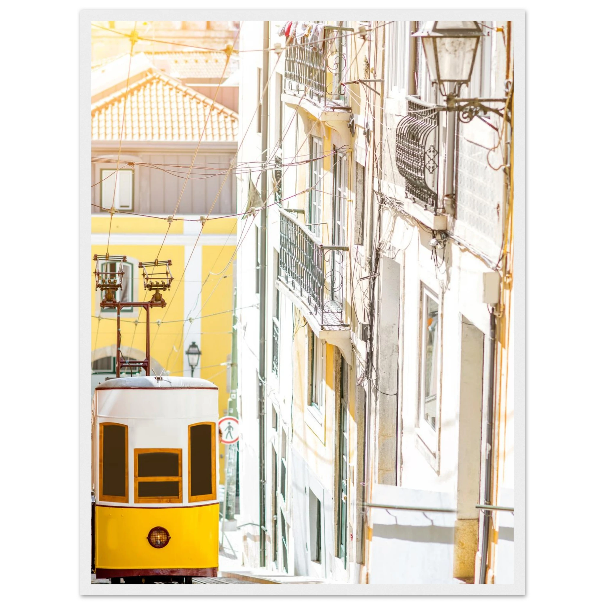 717678db-43f3-425b-87eb-77ba5e975fcb