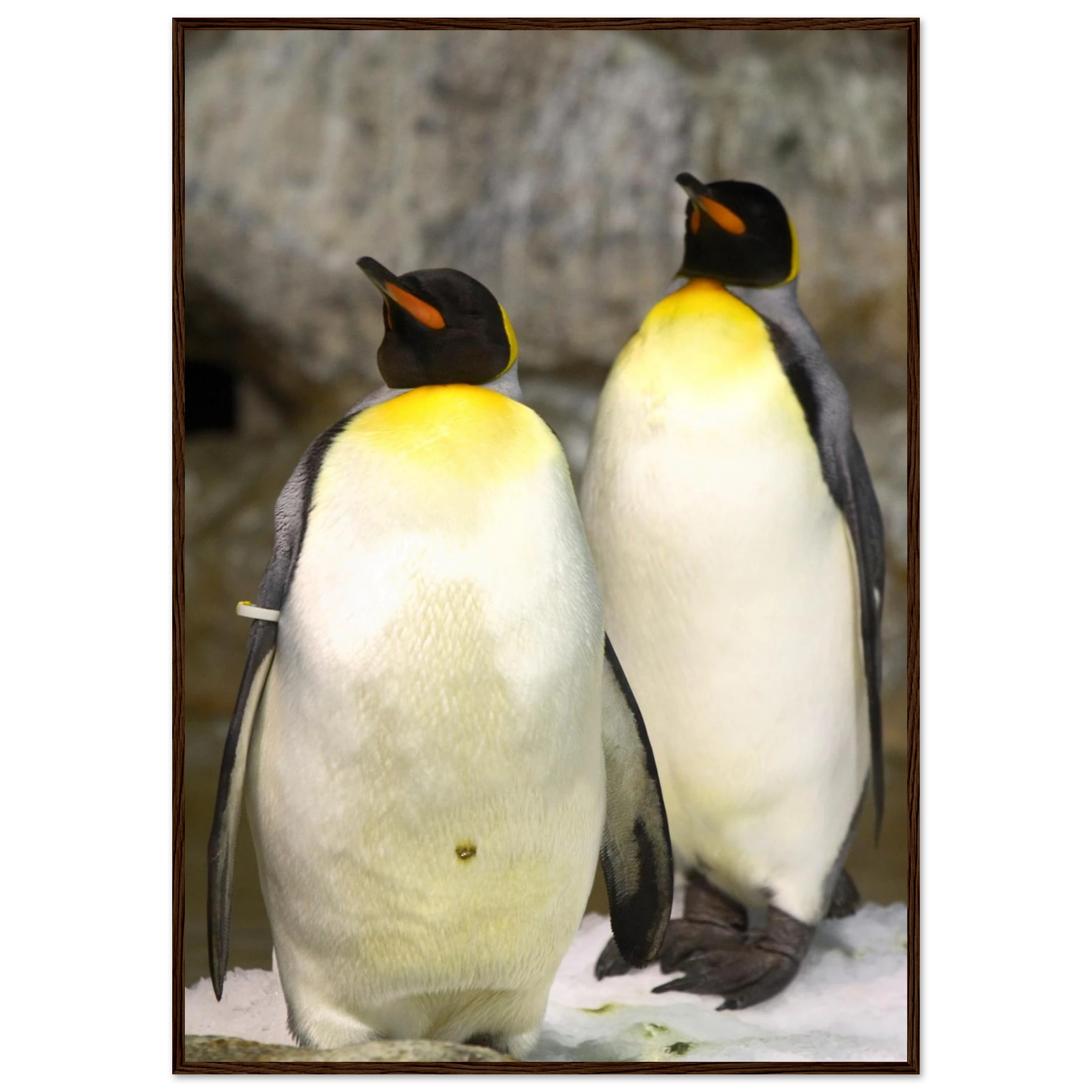 717afd8c-953d-44f0-88f6-f15cb63311d1