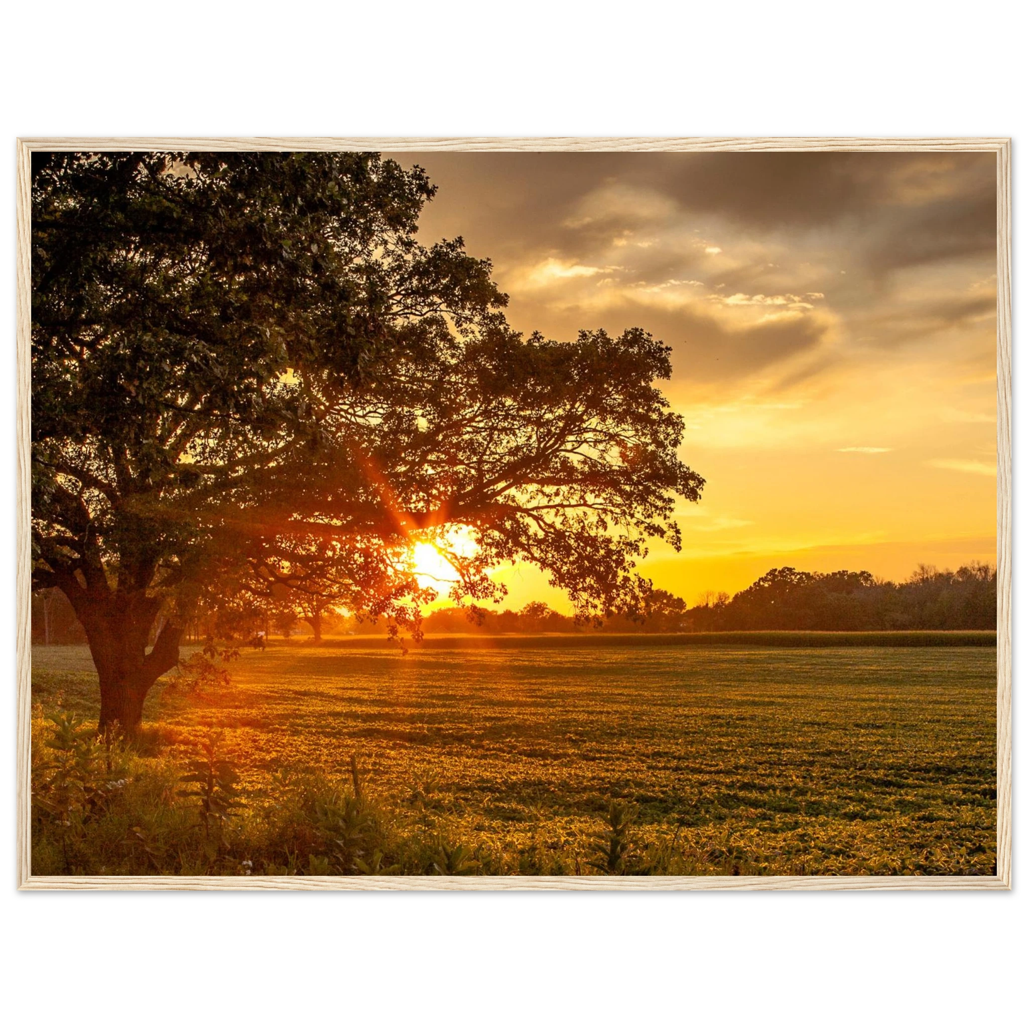 718dda47-d6bb-4ea4-8126-a29d1b850aac